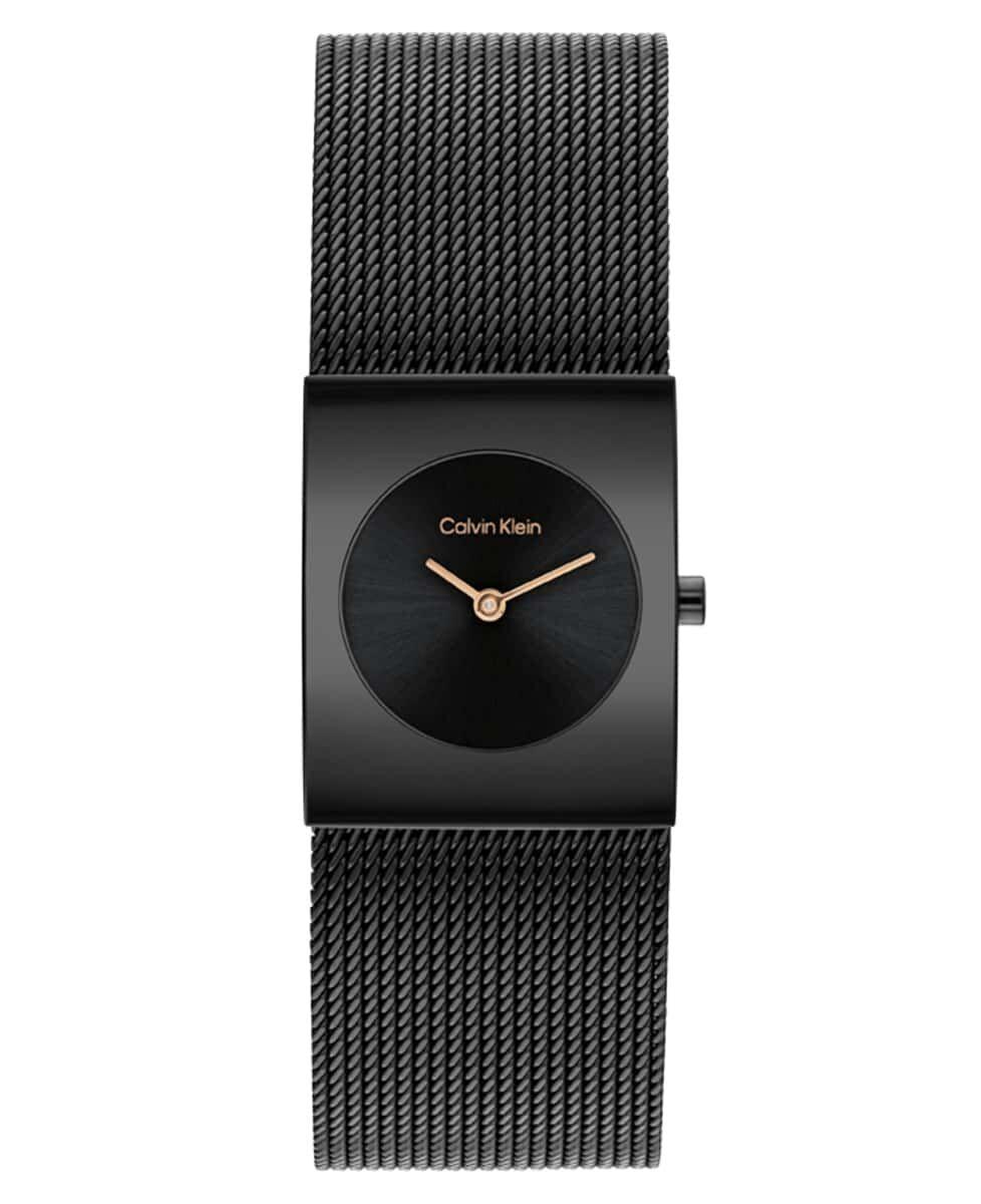 Calvin Klein CK25100138 Kadın Kol Saati