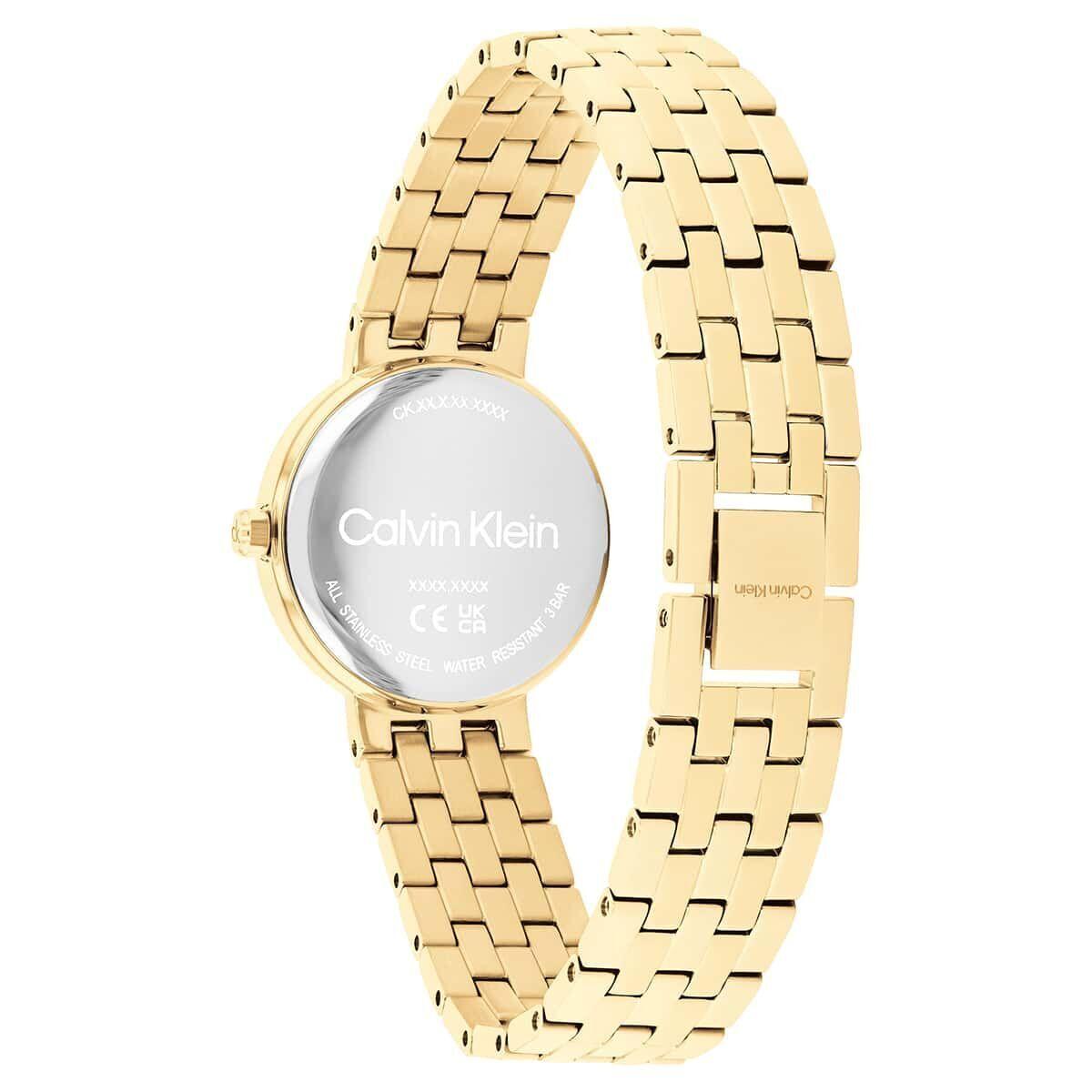 Calvin Klein CK25100187 Kadın Kol Saati