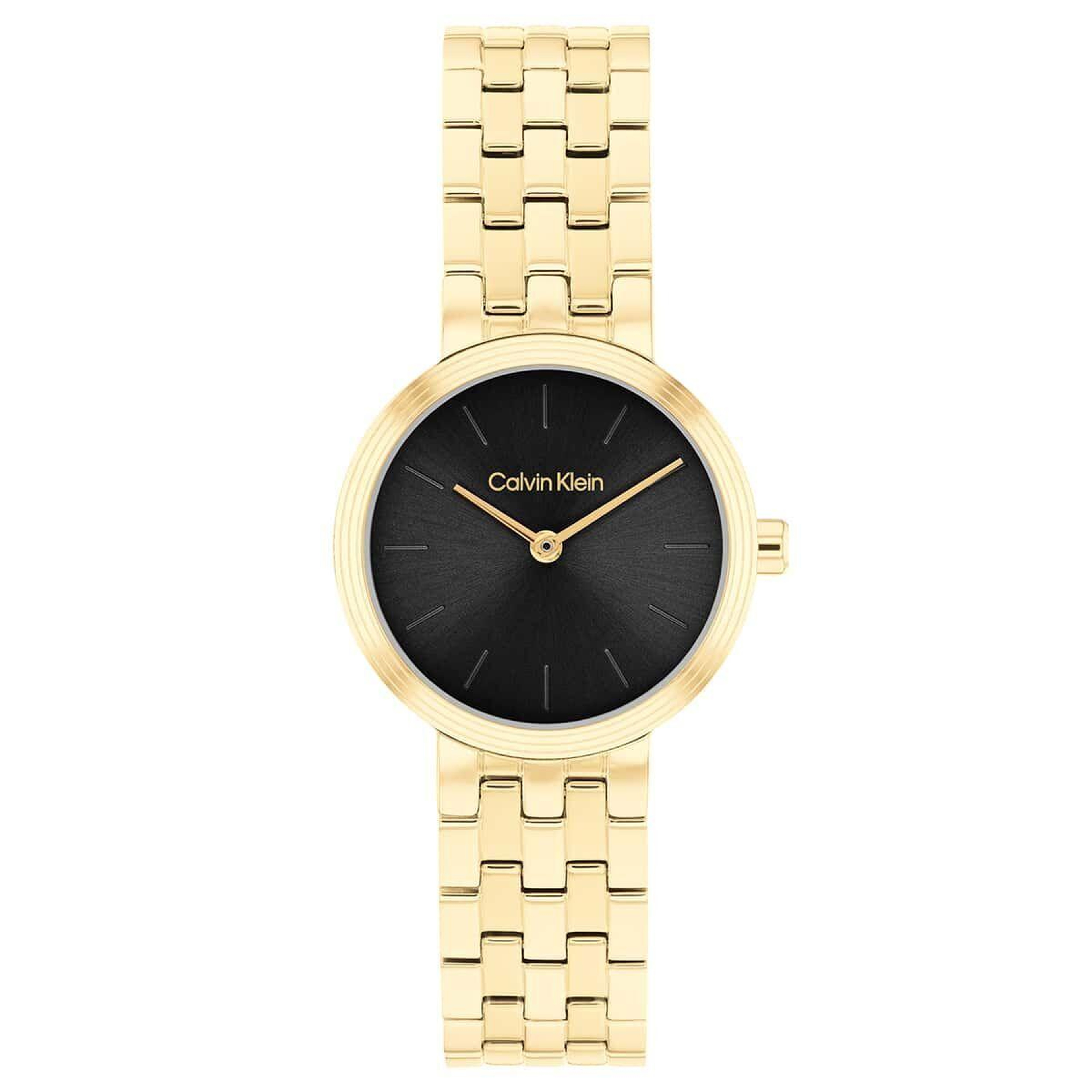 Calvin Klein CK25100187 Kadın Kol Saati
