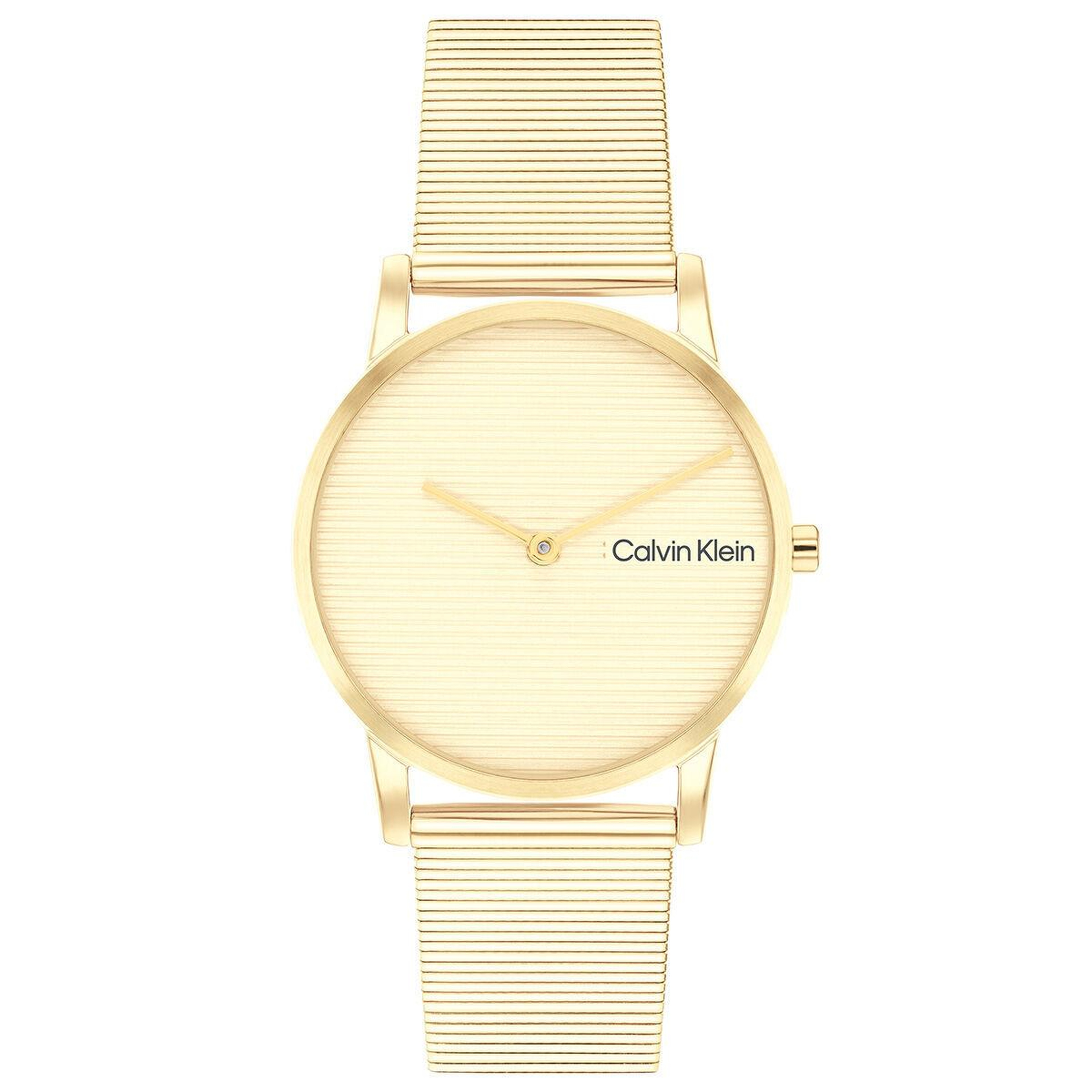 Calvin Klein CK25100035 Kadın Kol Saati