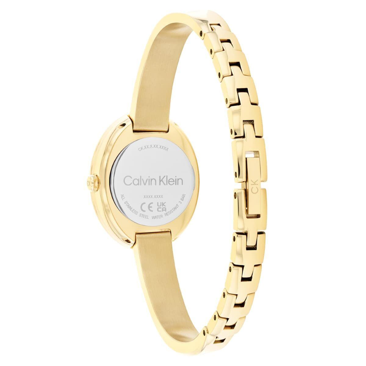 Calvin Klein CK25100056 Kadın Kol Saati
