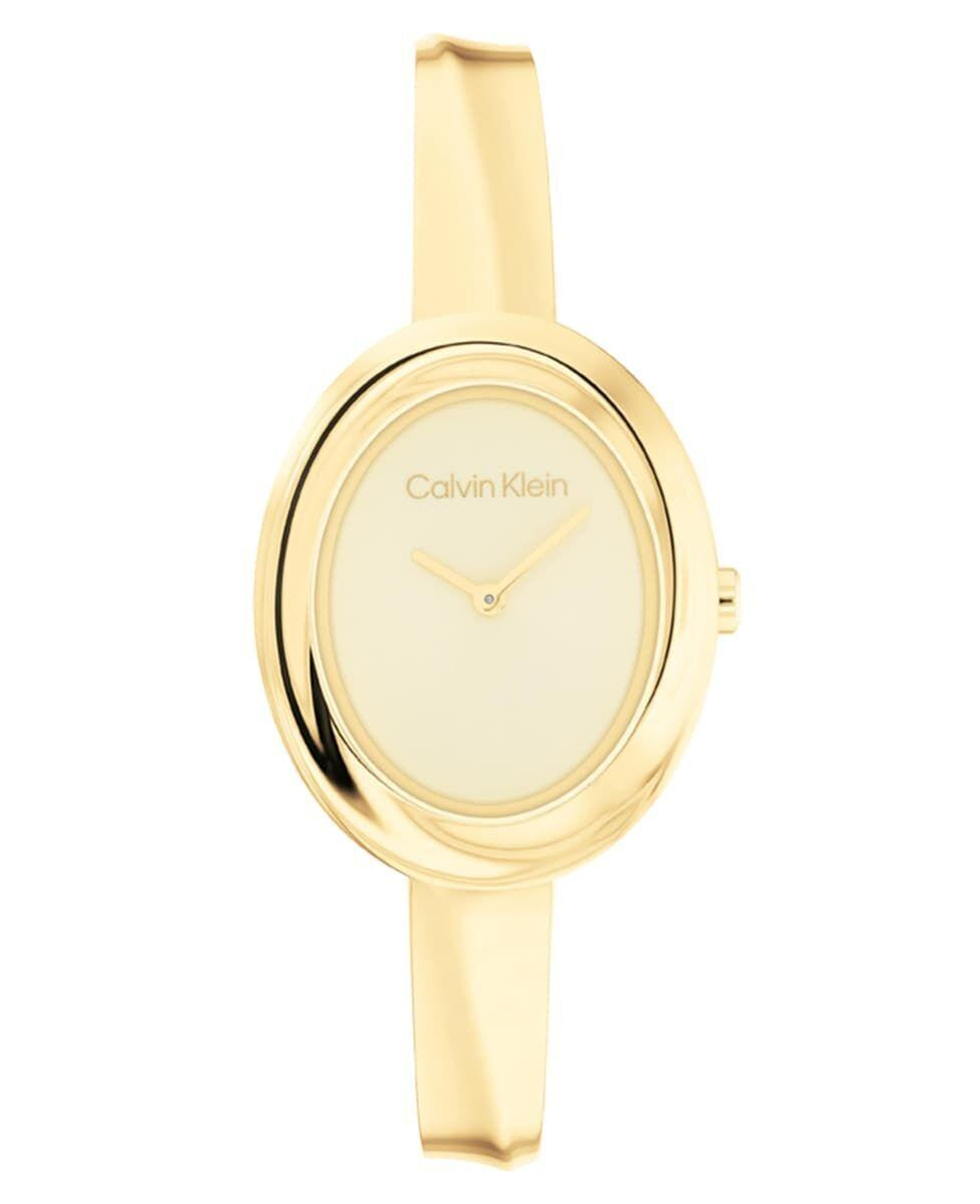 Calvin Klein CK25100056 Kadın Kol Saati