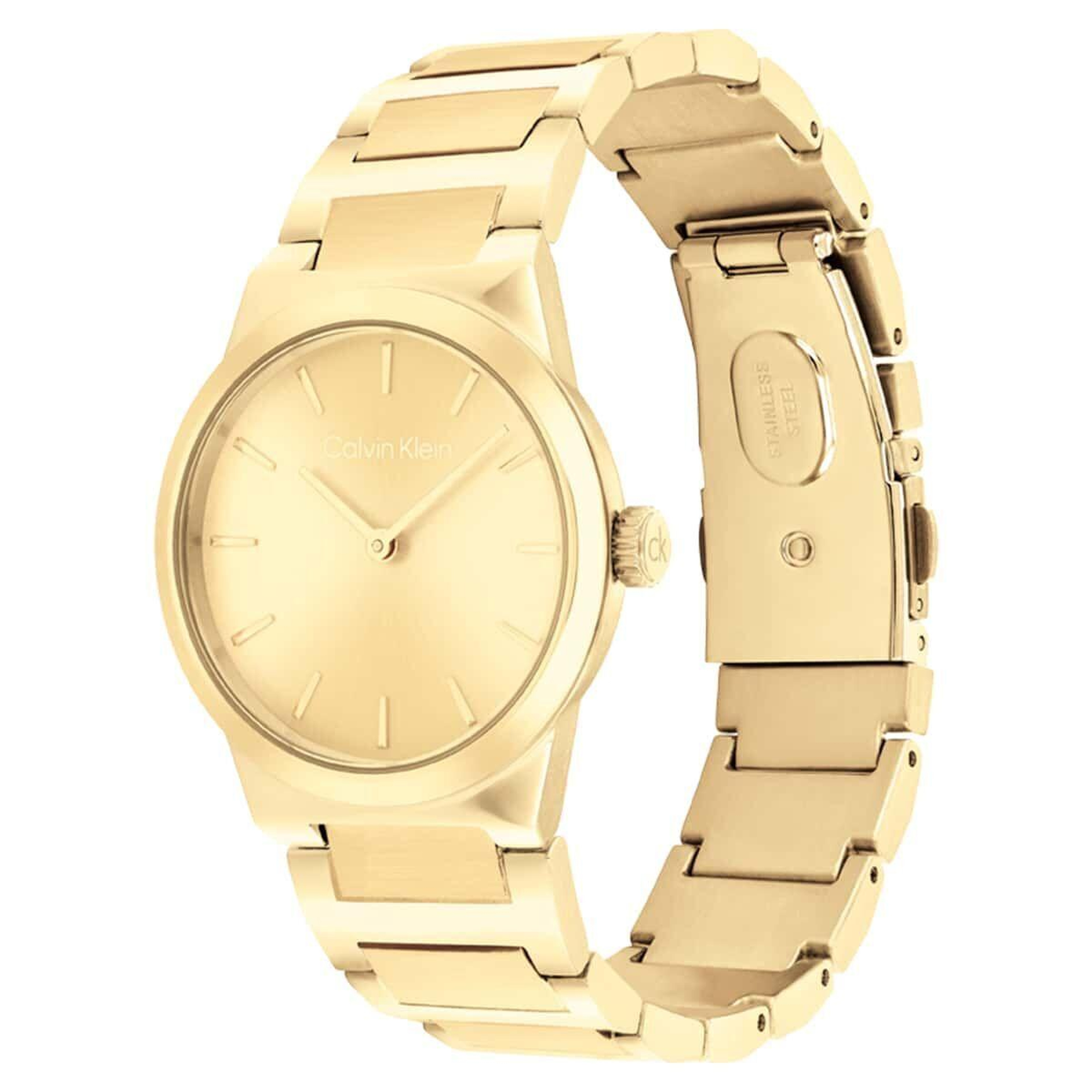 Calvin Klein CK25100077 Kadın Kol Saati