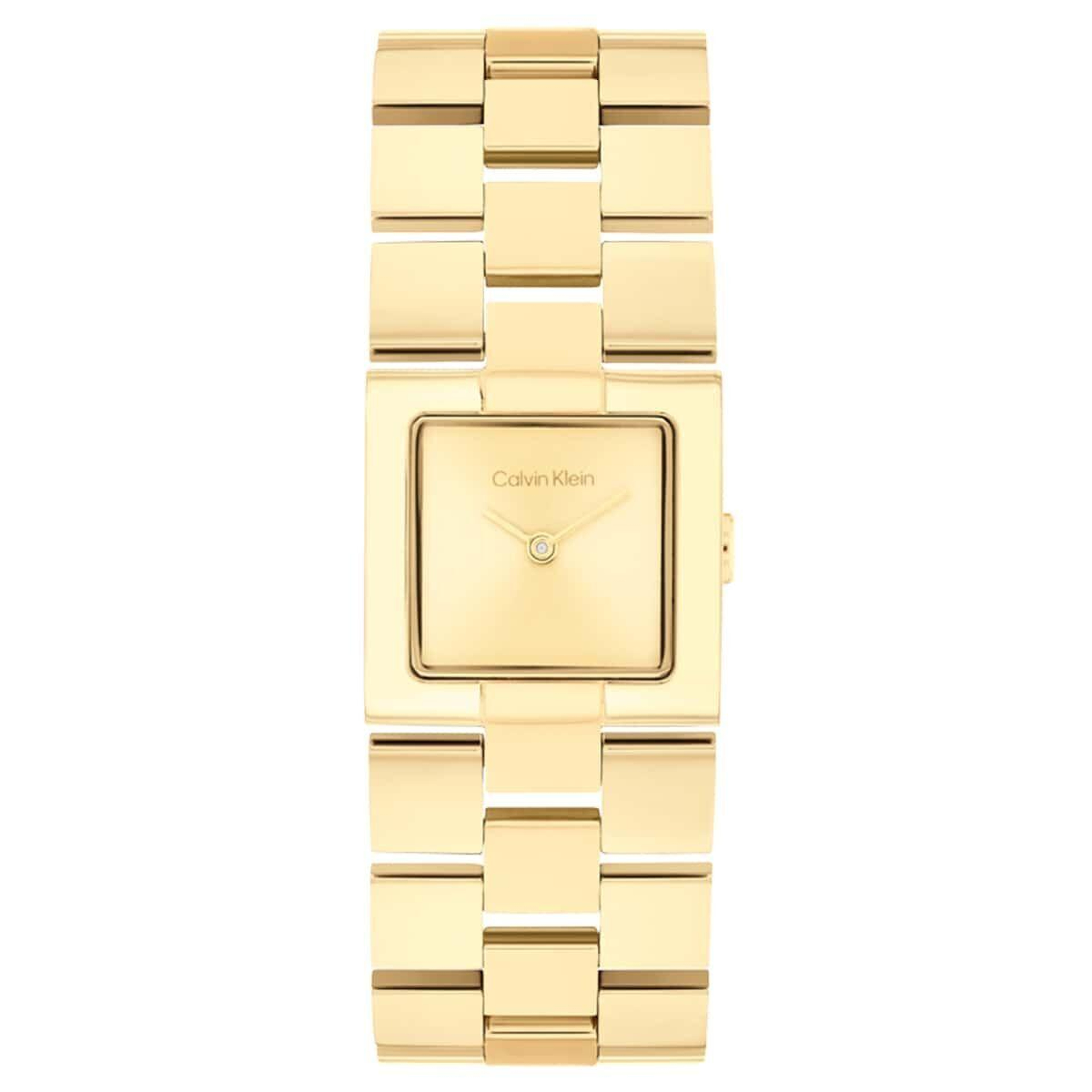 Calvin Klein CK25100089 Kadın Kol Saati