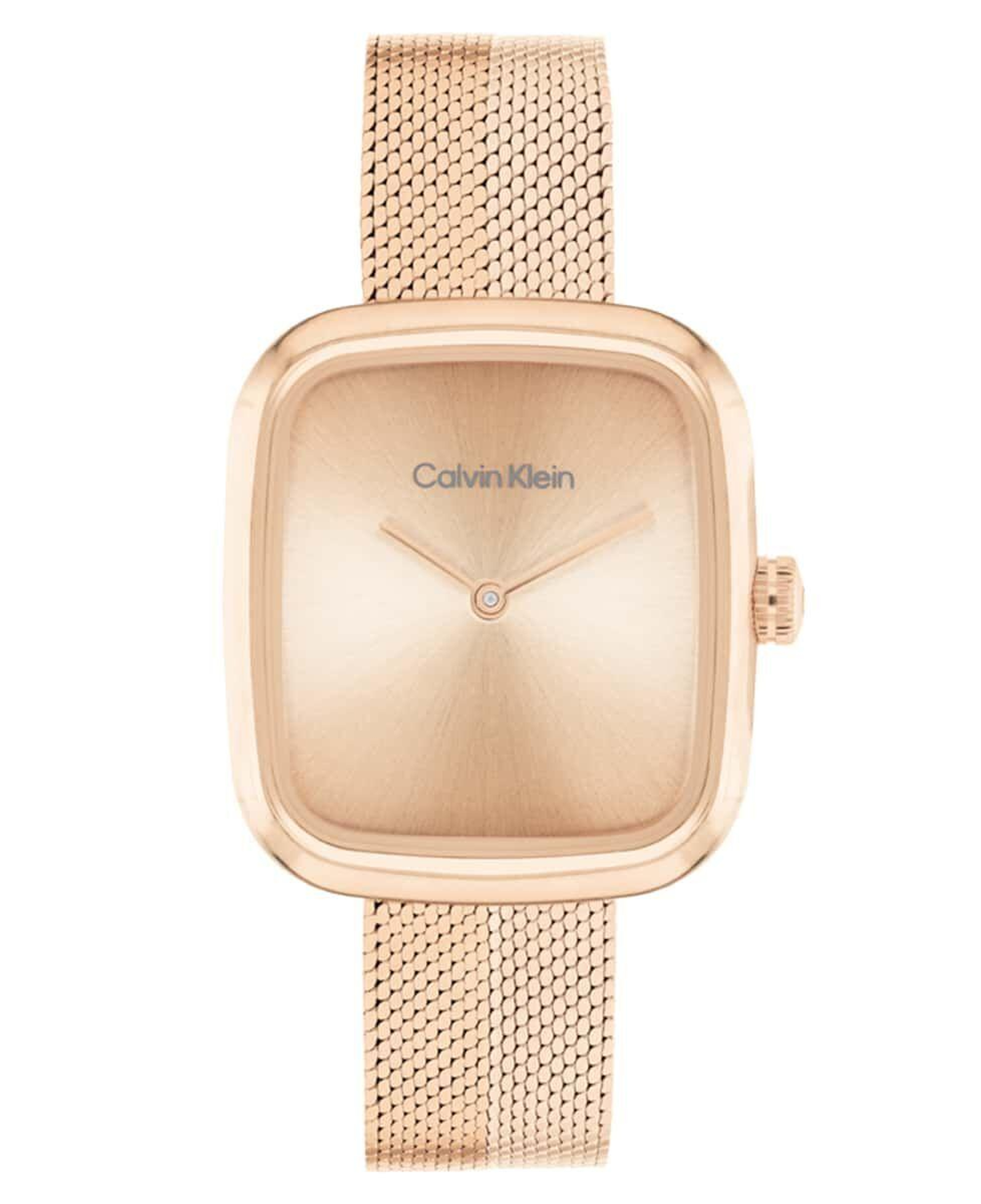 Calvin Klein CK25100101 Kadın Kol Saati