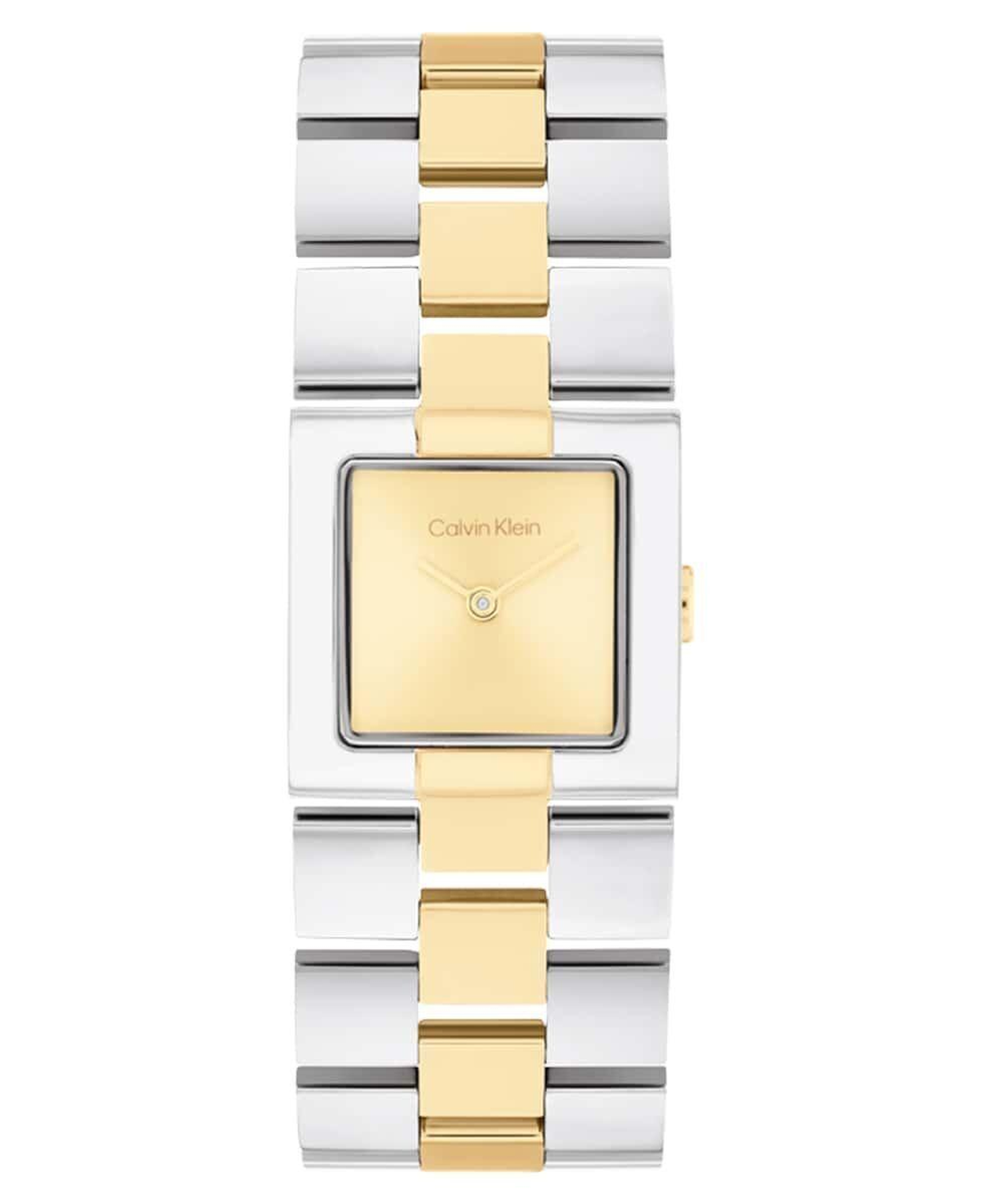 Calvin Klein CK25100115 Kadın Kol Saati