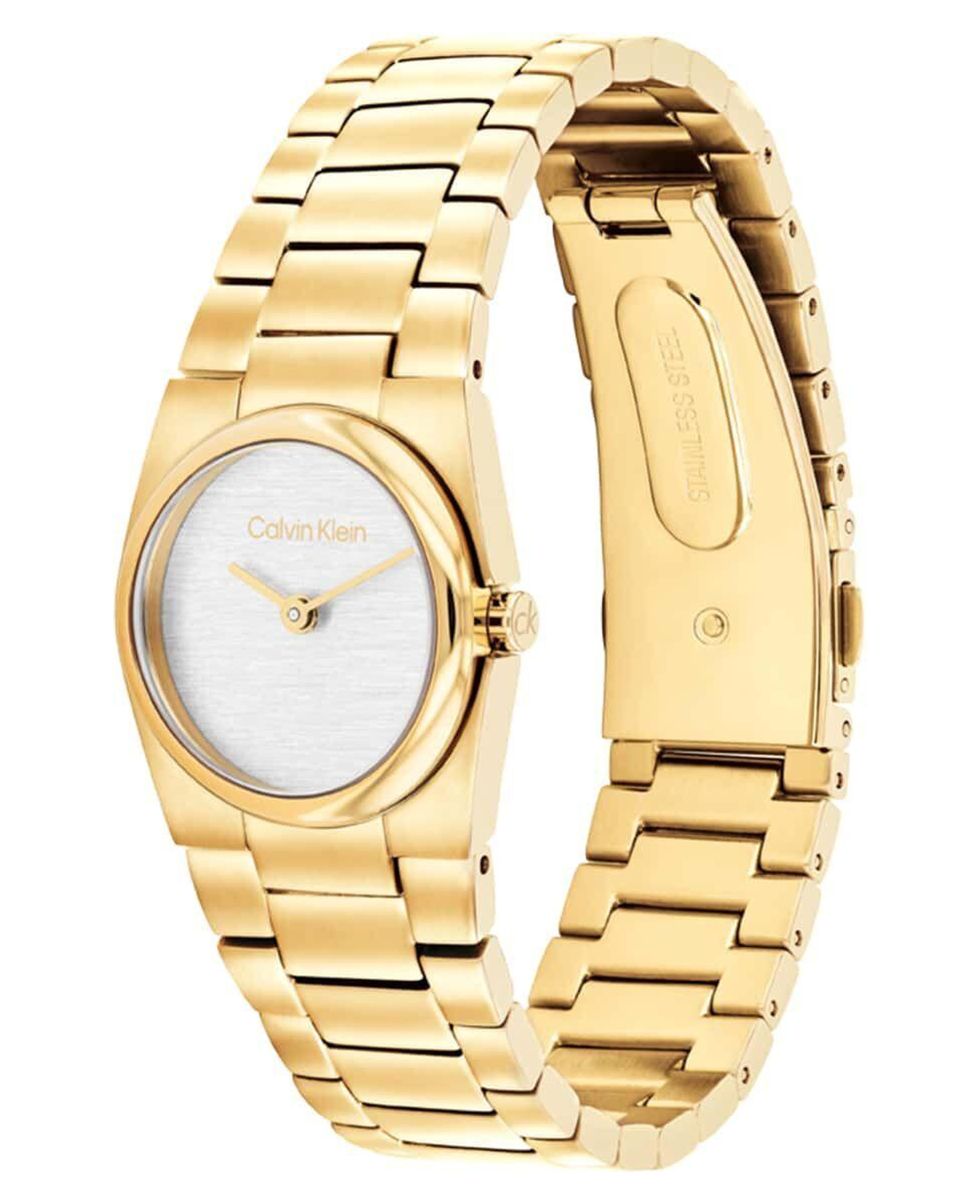 Calvin Klein CK25100122 Kadın Kol Saati