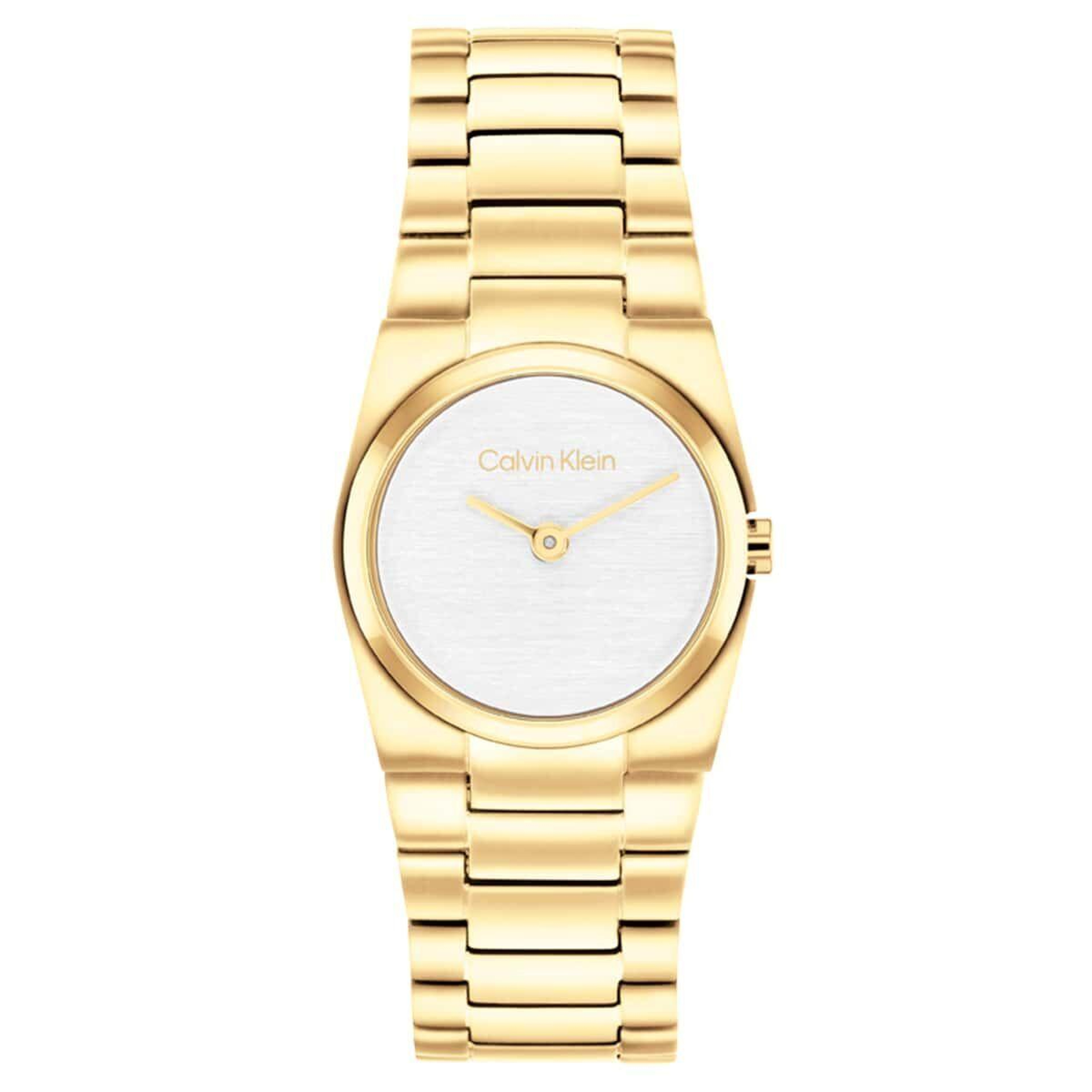 Calvin Klein CK25100122 Kadın Kol Saati