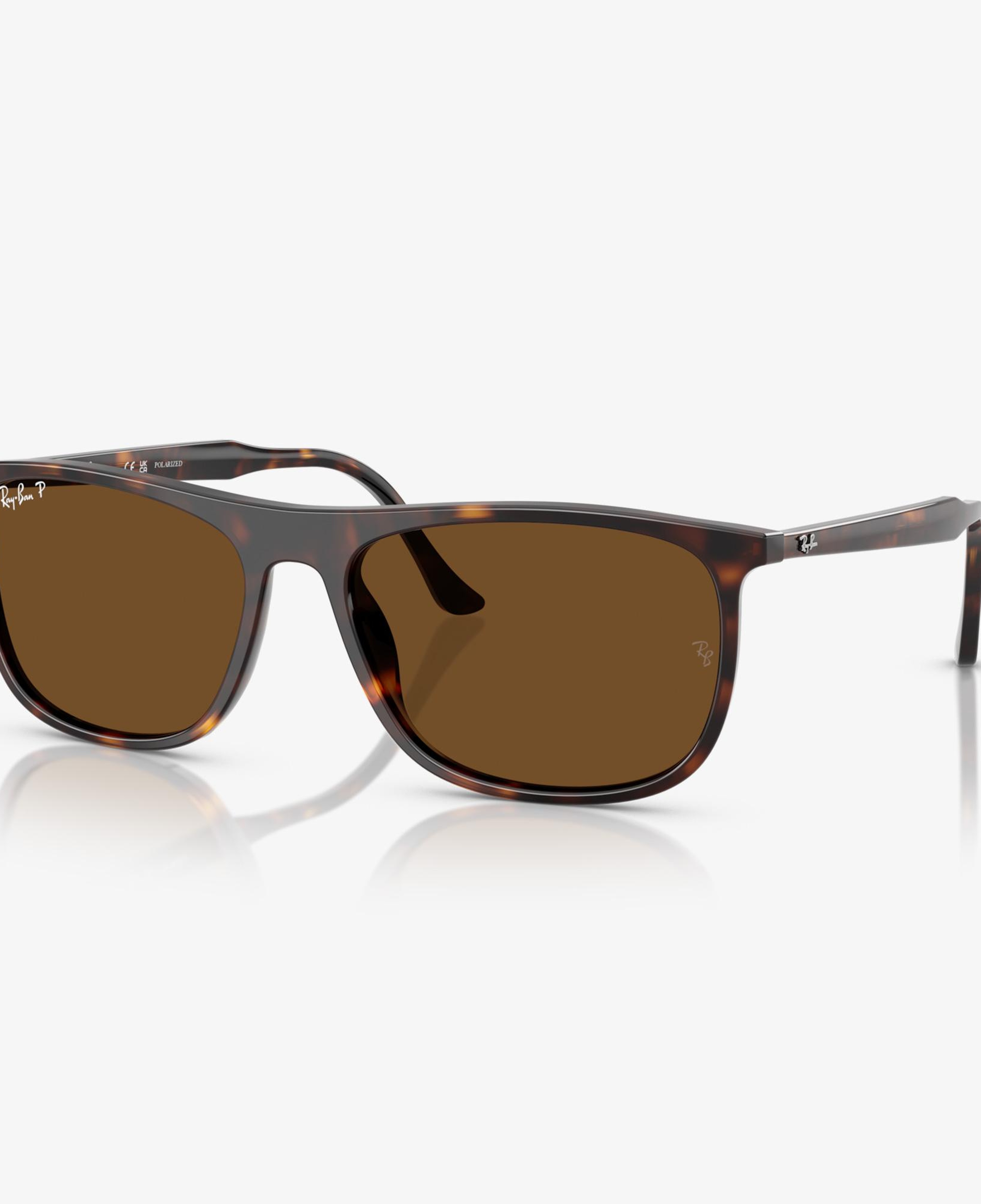Ray-Ban Acetate Unisex Kahverengi Güneş Gözlüğü