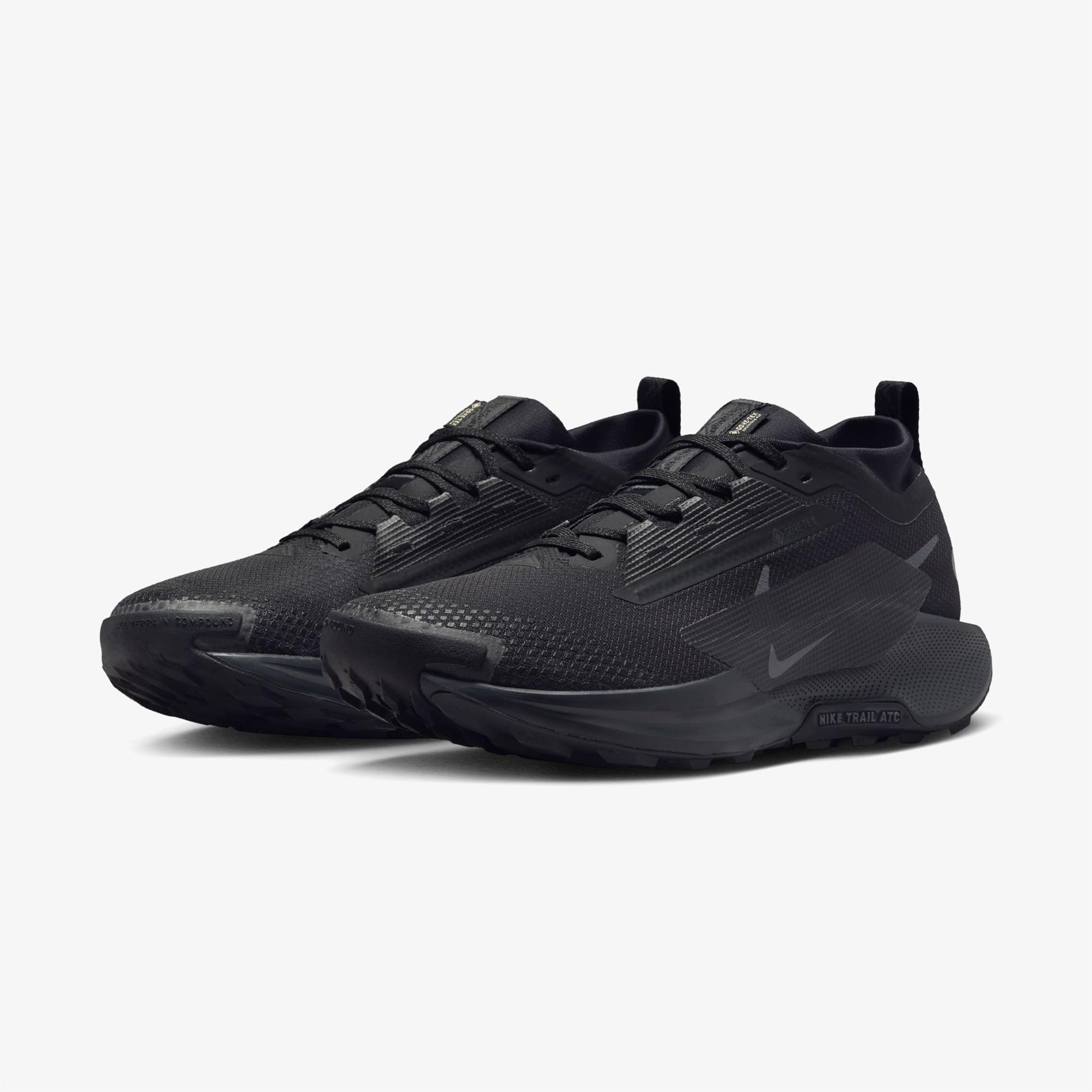 Nike Pegasus Trail 5 Gore-Tex Erkek Siyah Koşu Ayakkabısı