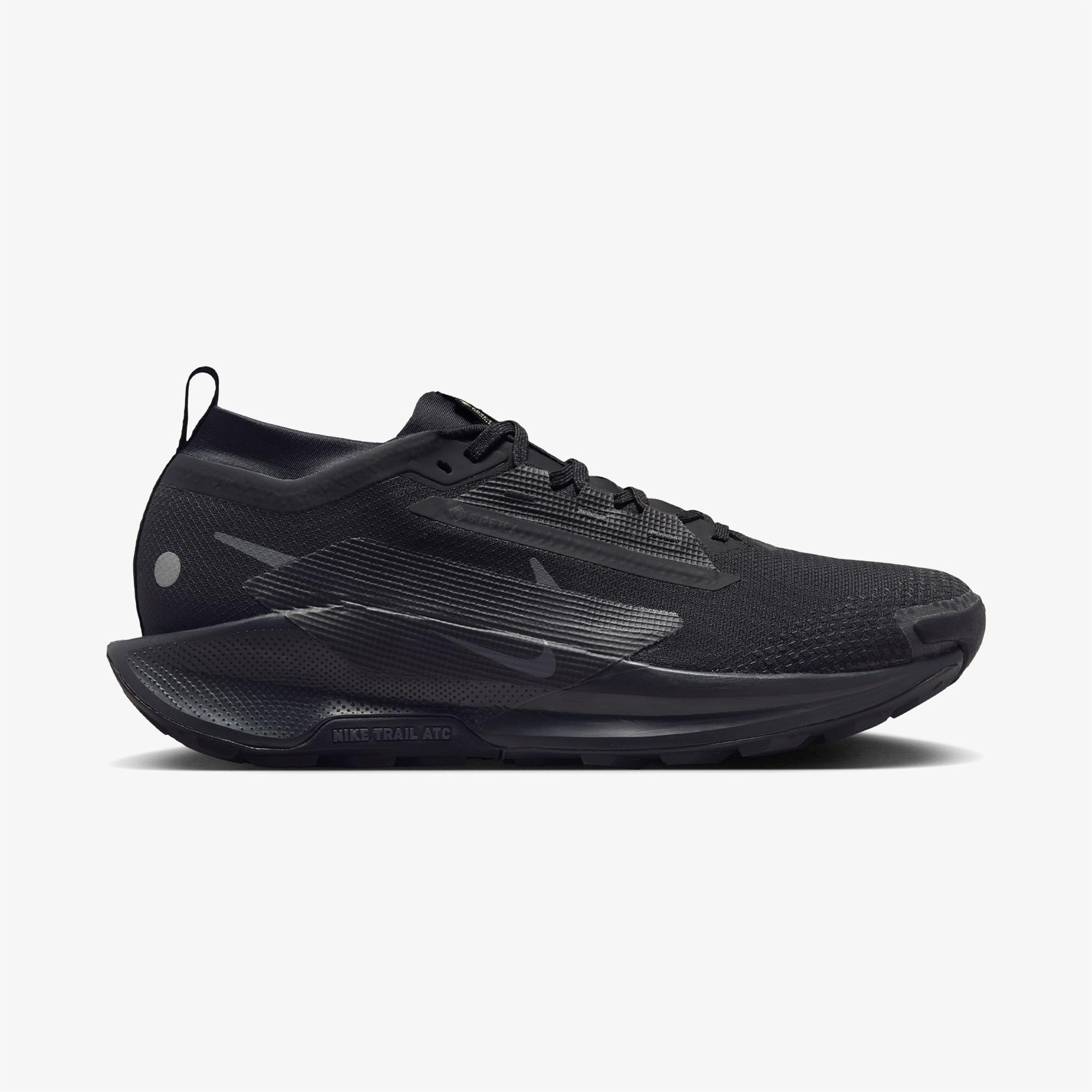 Nike Pegasus Trail 5 Gore-Tex Erkek Siyah Koşu Ayakkabısı