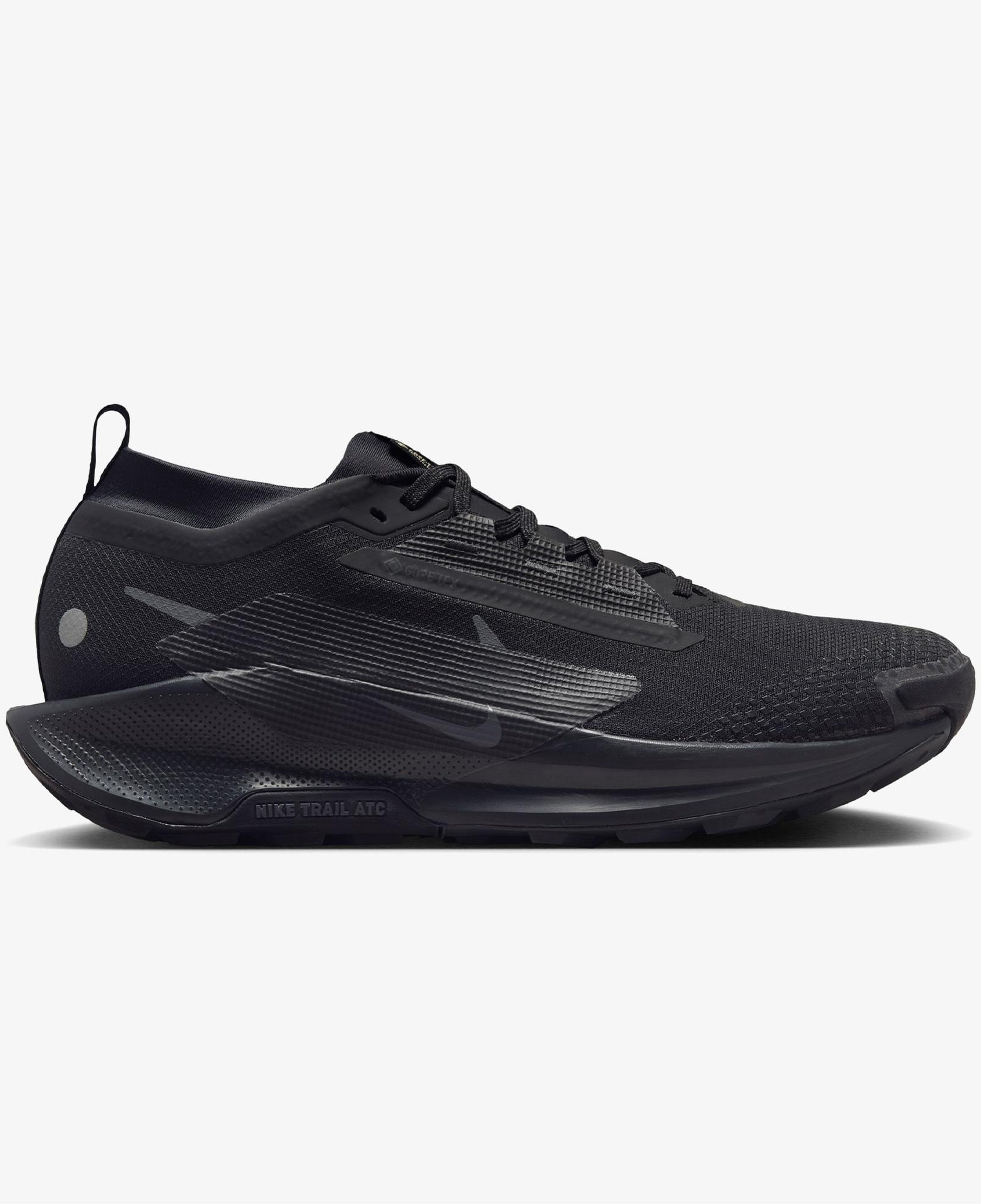 Nike Pegasus Trail 5 Gore-Tex Erkek Siyah Koşu Ayakkabısı