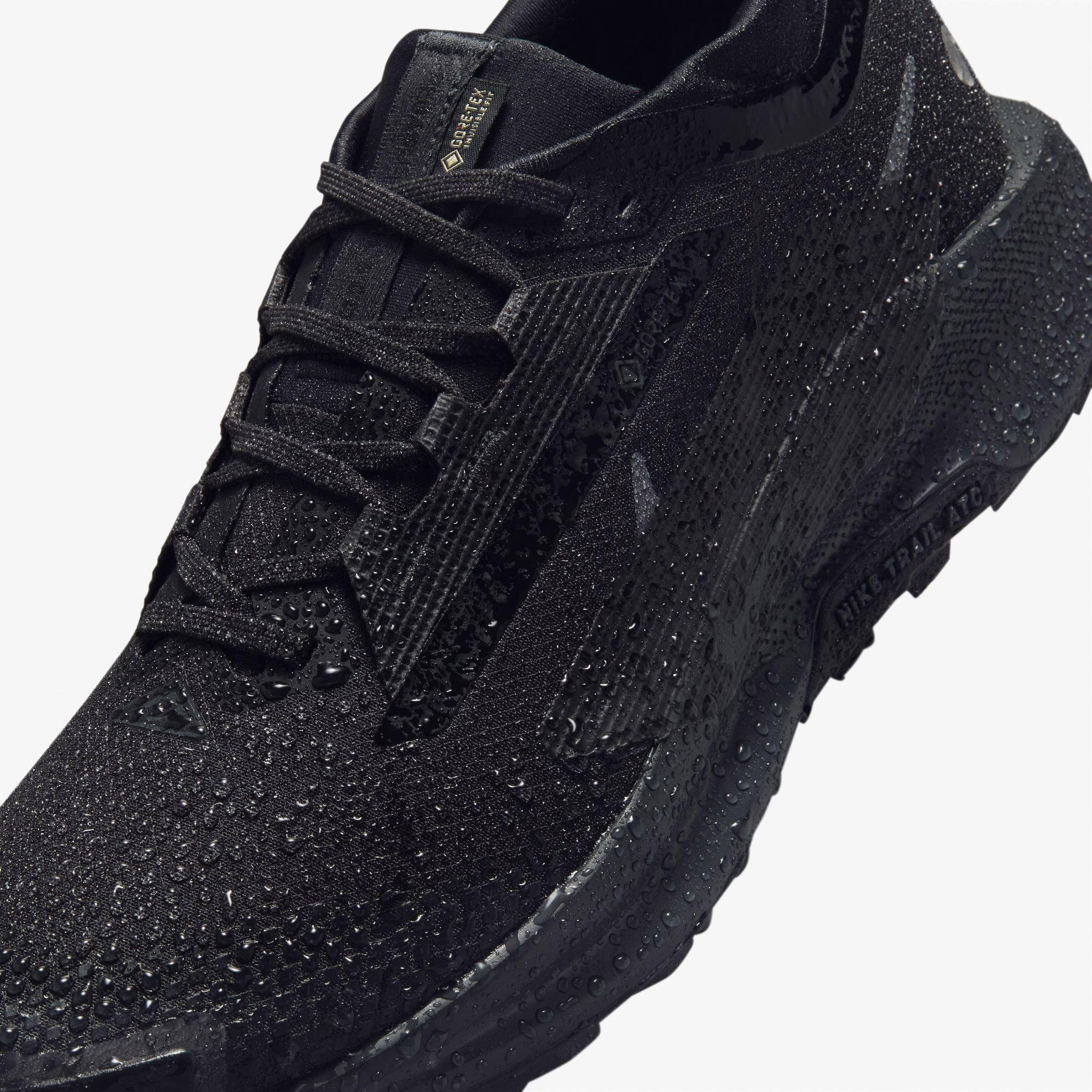 Nike Pegasus Trail 5 Gore-Tex Erkek Siyah Koşu Ayakkabısı