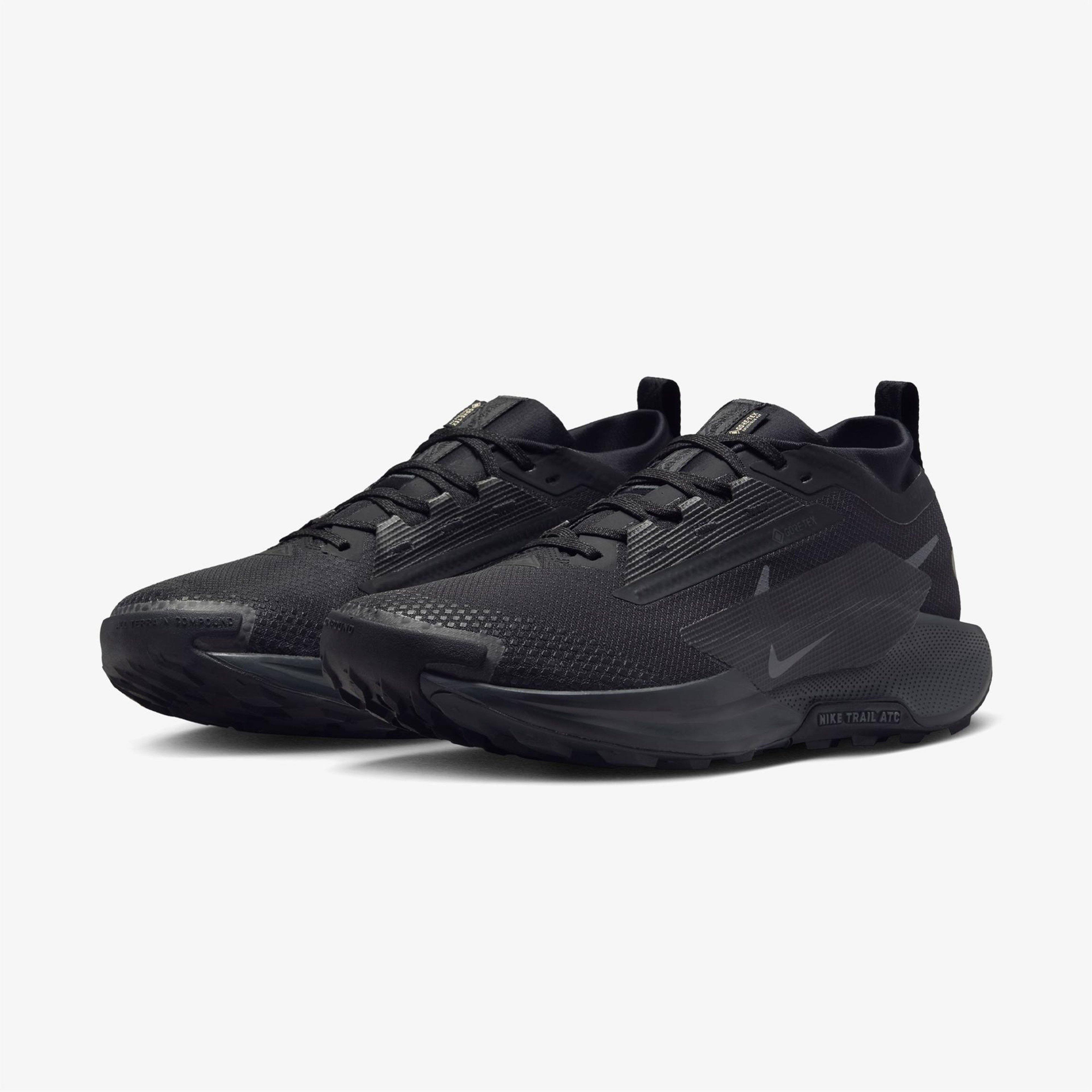 Nike Pegasus Trail 5 Gore-Tex Erkek Siyah Koşu Ayakkabısı