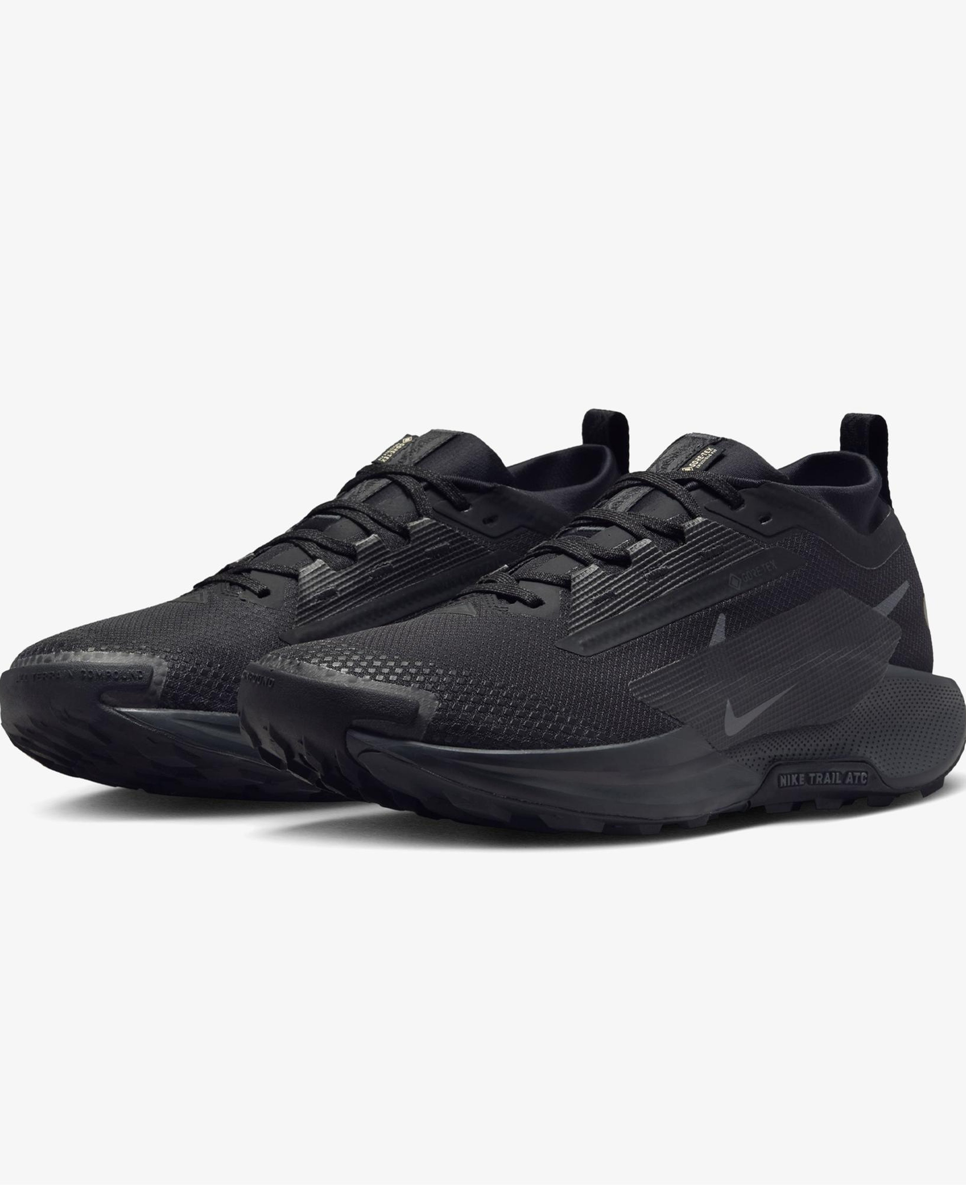 Nike Pegasus Trail 5 Gore-Tex Erkek Siyah Koşu Ayakkabısı