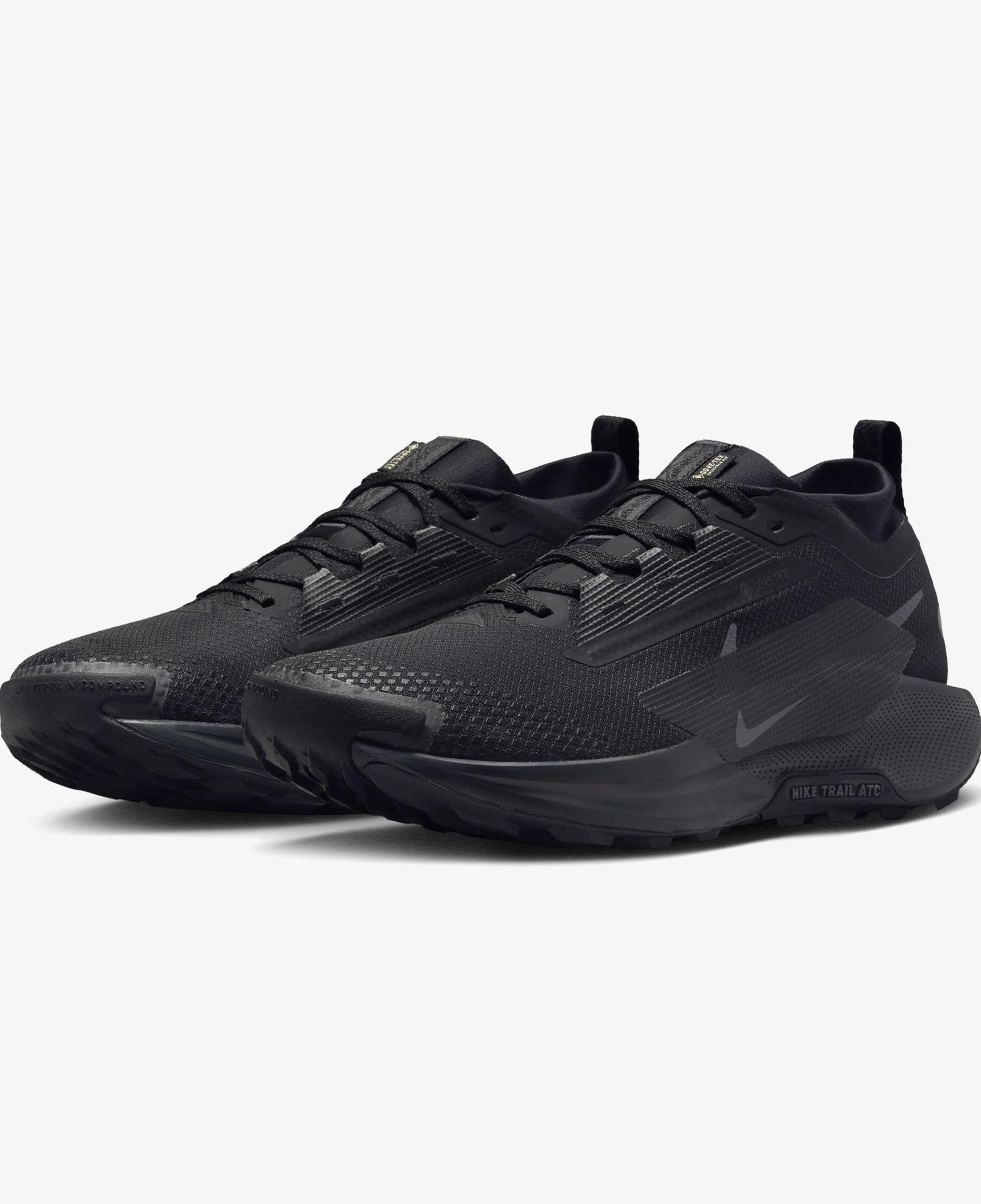 Nike Pegasus Trail 5 Gore-Tex Erkek Siyah Koşu Ayakkabısı