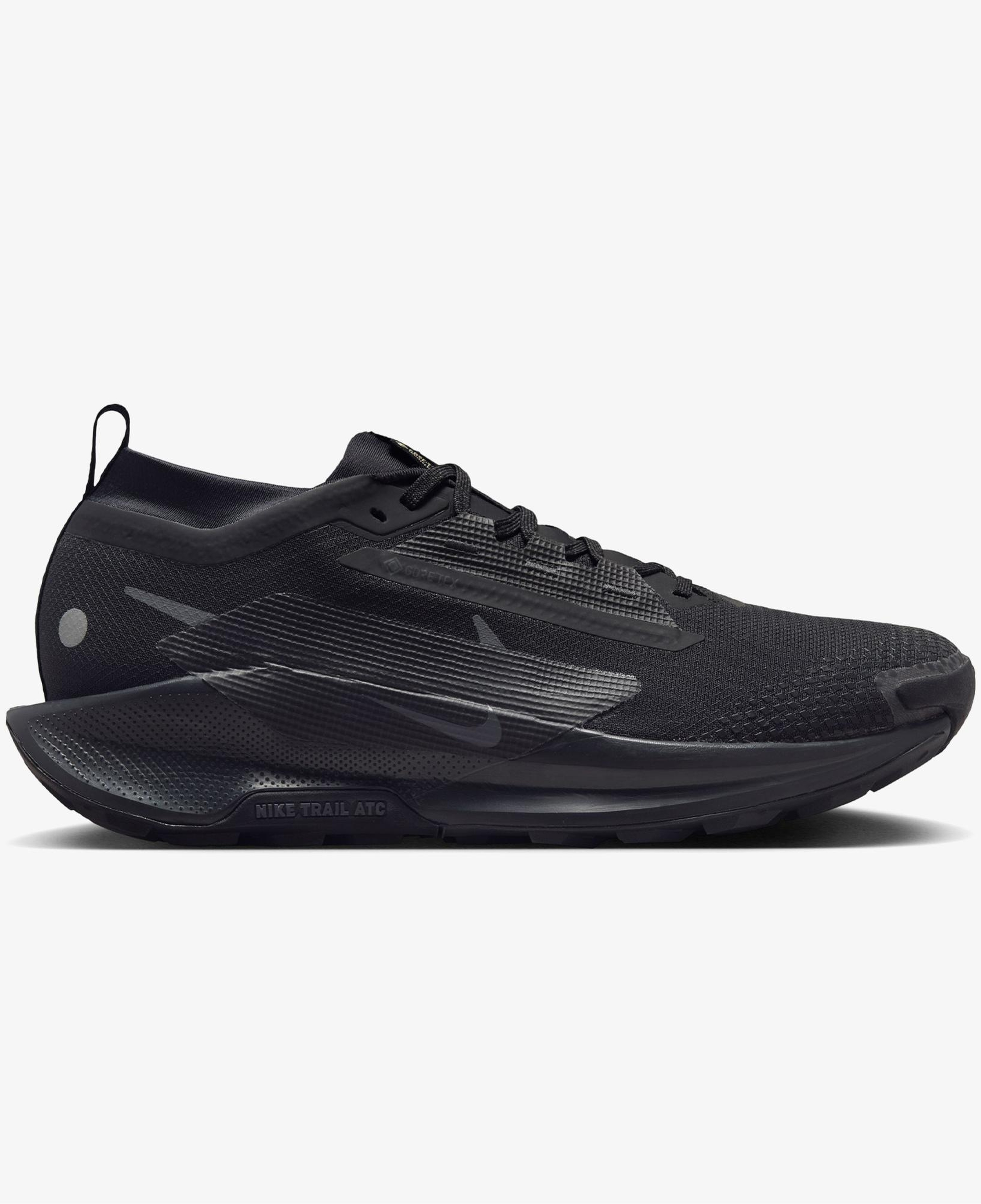 Nike Pegasus Trail 5 Gore-Tex Erkek Siyah Koşu Ayakkabısı
