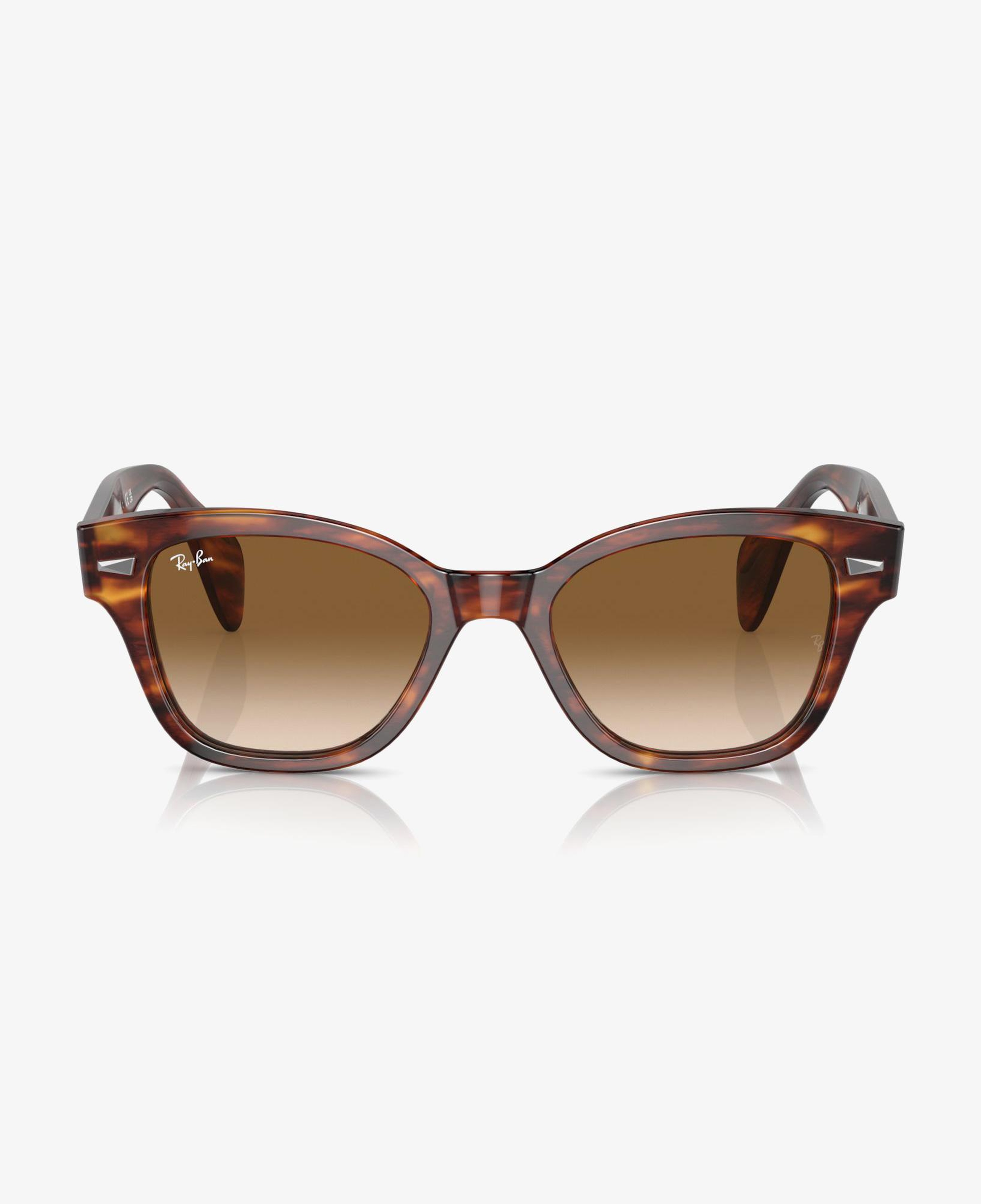 RAY-BAN 0RB0880S Unisex Kahverengi Güneş Gözlüğü