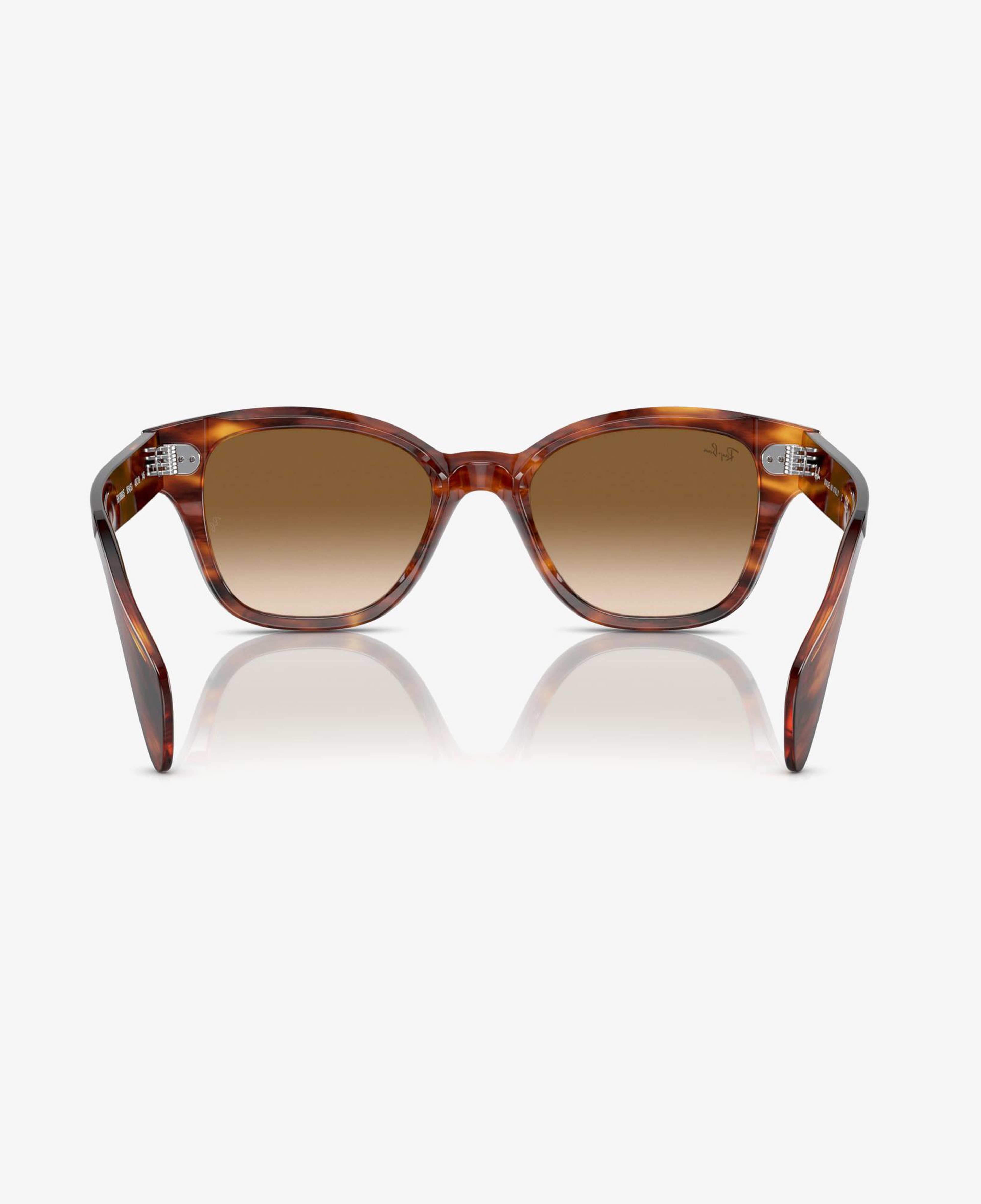 RAY-BAN 0RB0880S Unisex Kahverengi Güneş Gözlüğü