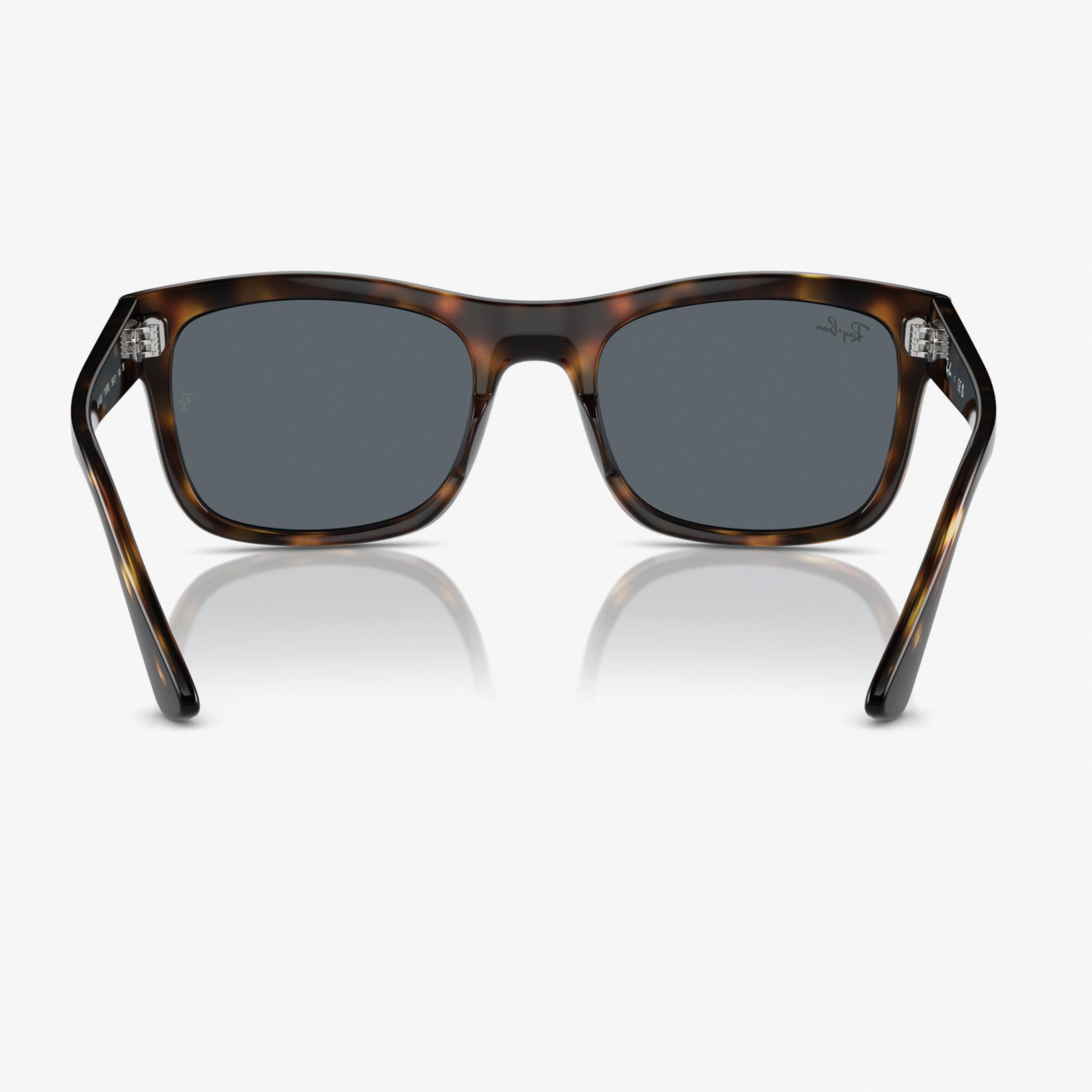 RAY-BAN 0RB4428 Propionate Unisex Kahverengi Güneş Gözlüğü
