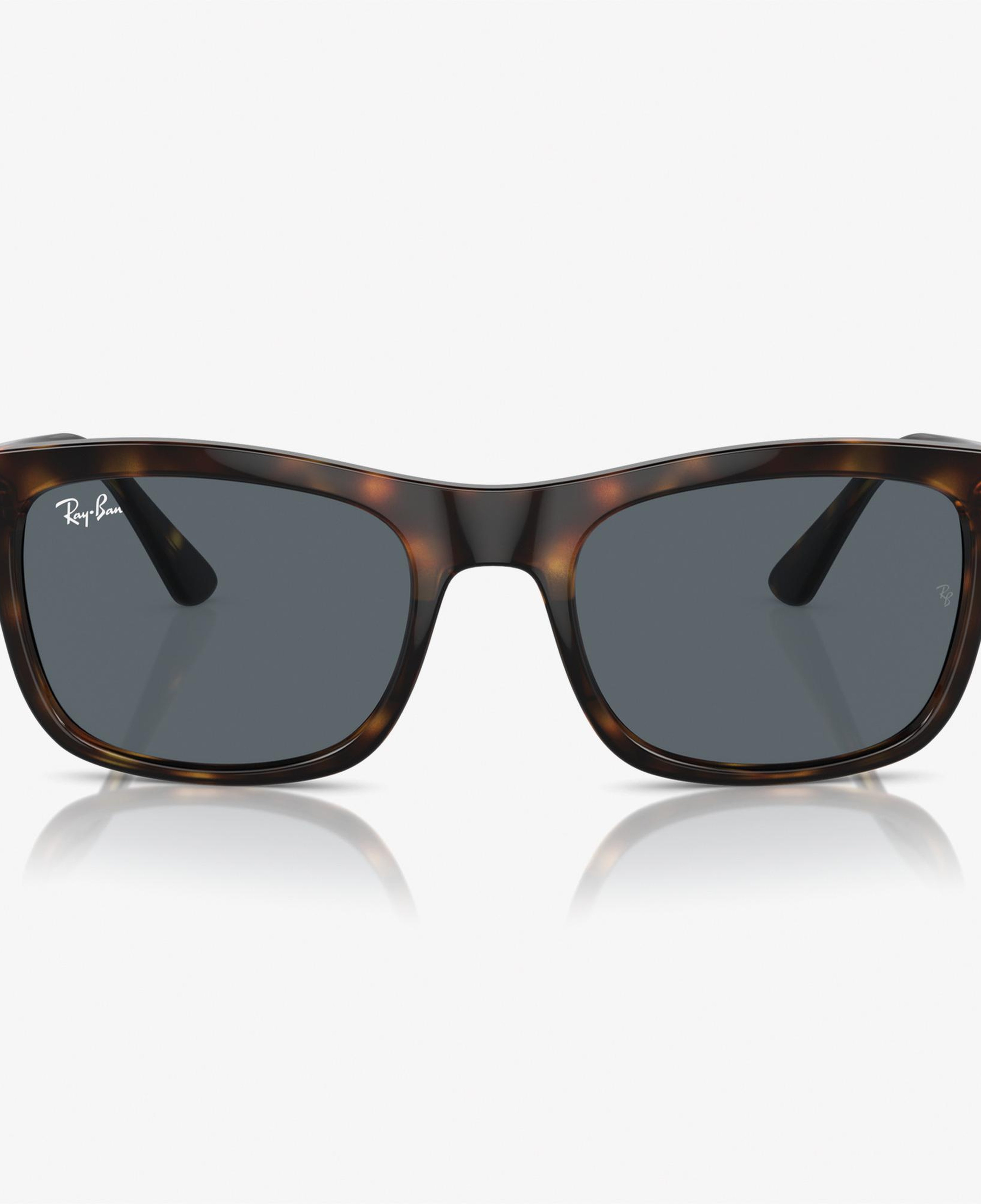 RAY-BAN 0RB4428 Propionate Unisex Kahverengi Güneş Gözlüğü