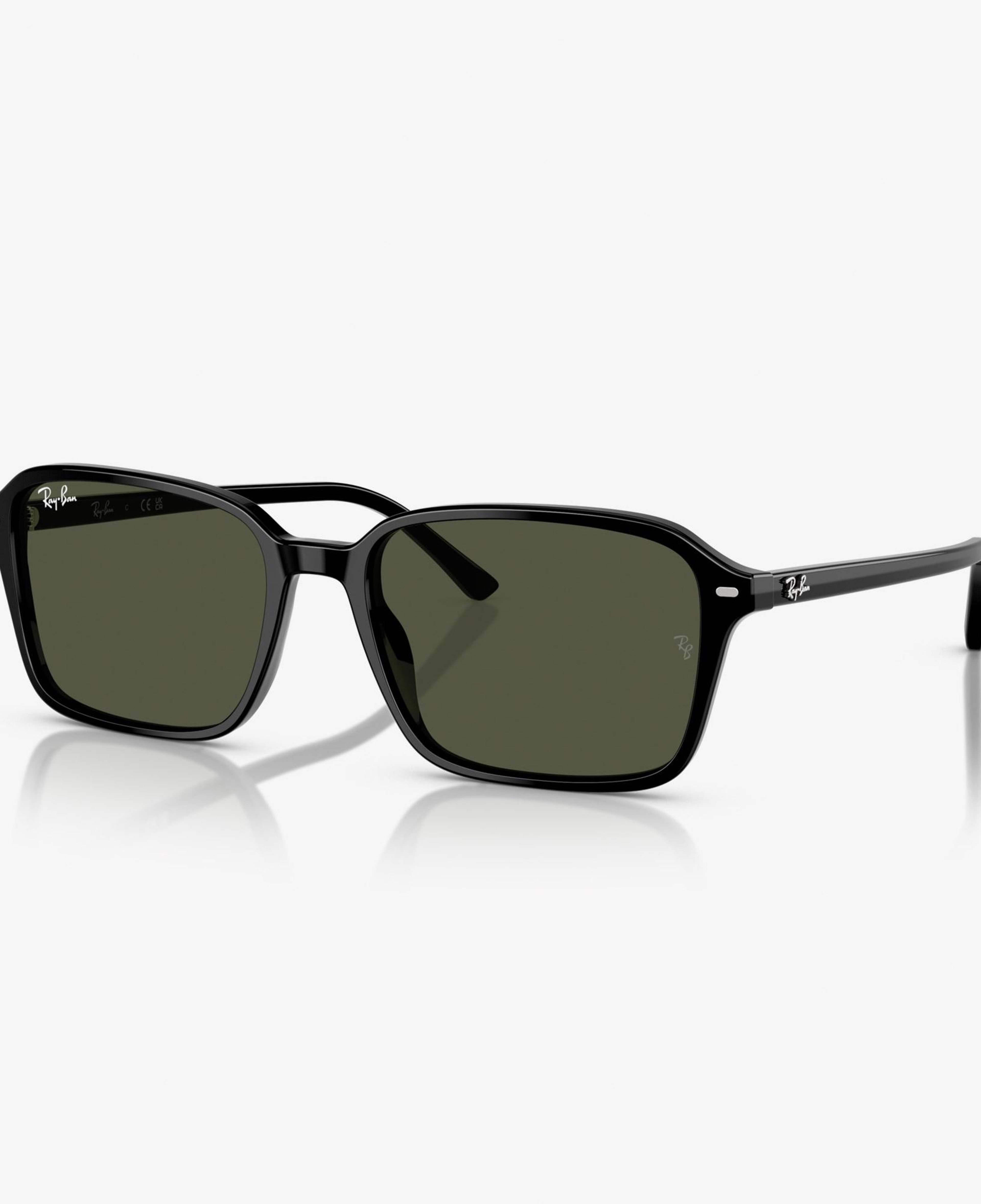 Ray-Ban Raimond RB2231 Unisex Siyah Güneş Gözlüğü