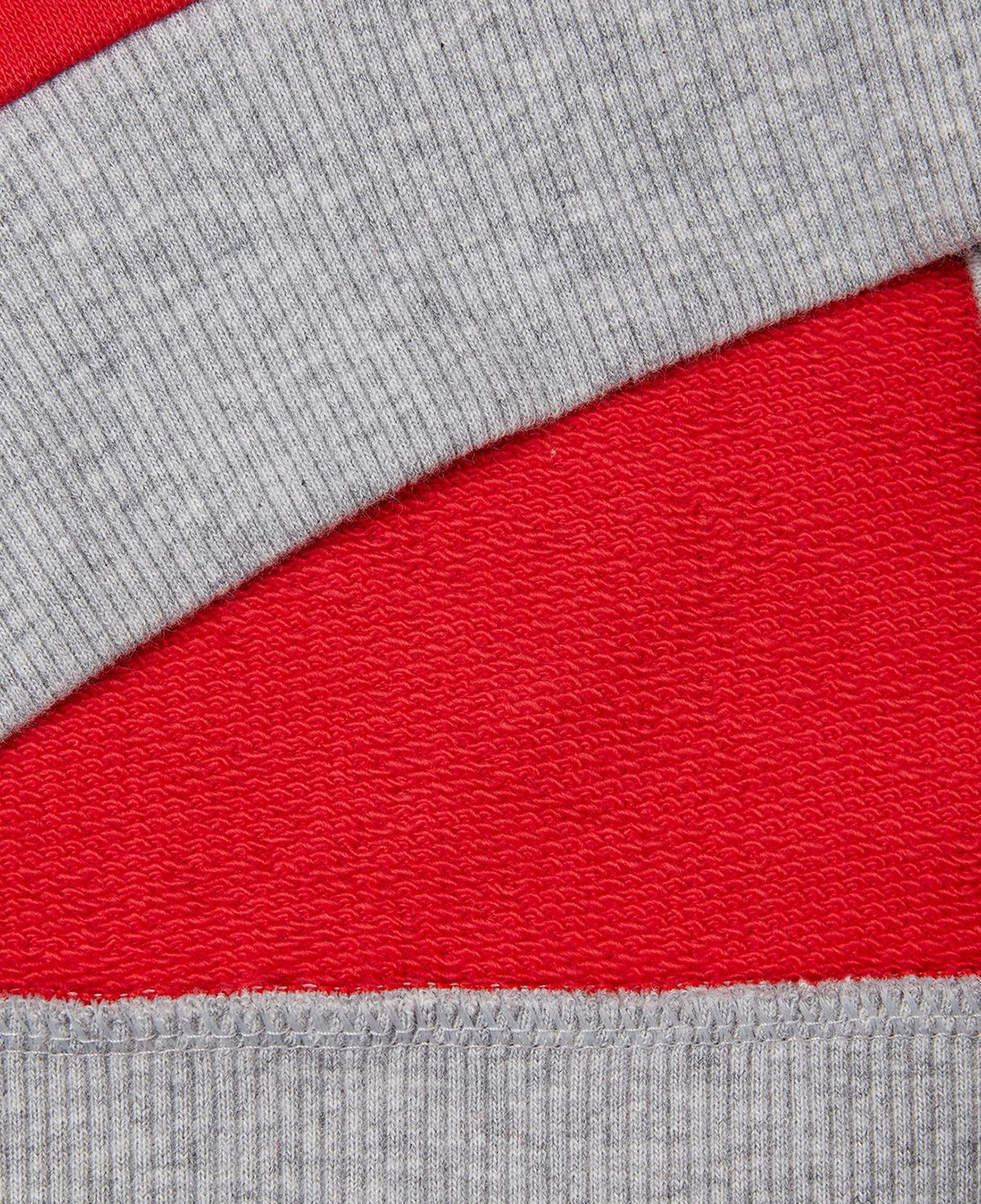 Erkek Çocuk Kırmızı Mix Benetton Logo Baskılı Bisiklet Yaka Sweatshirt