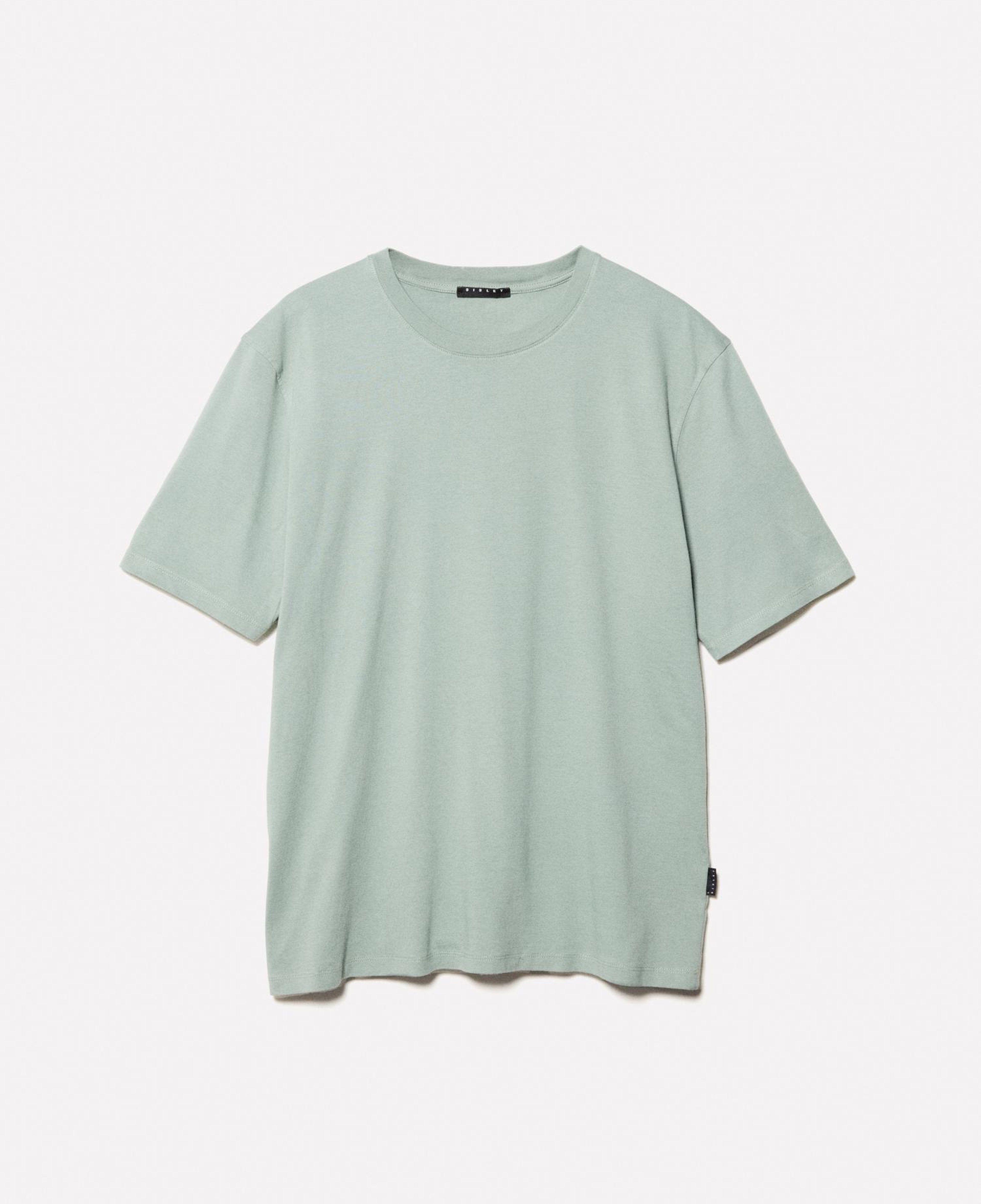 Erkek Haki %100 Pamuk Normal Kesim Bisiklet Yaka Kısa Kollu T-Shirt