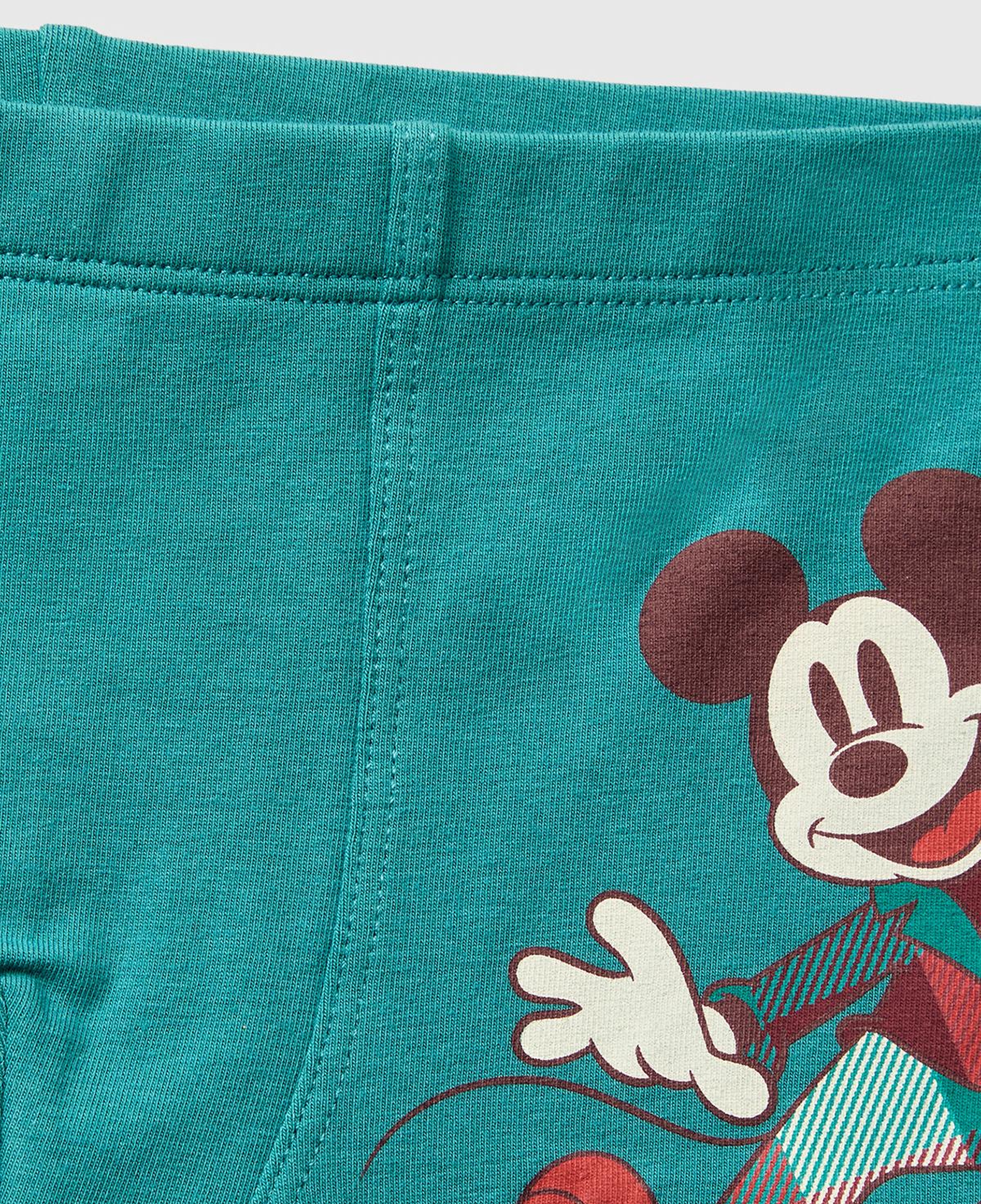 Erkek Çocuk Yeşil Disney Baskılı Boxer
