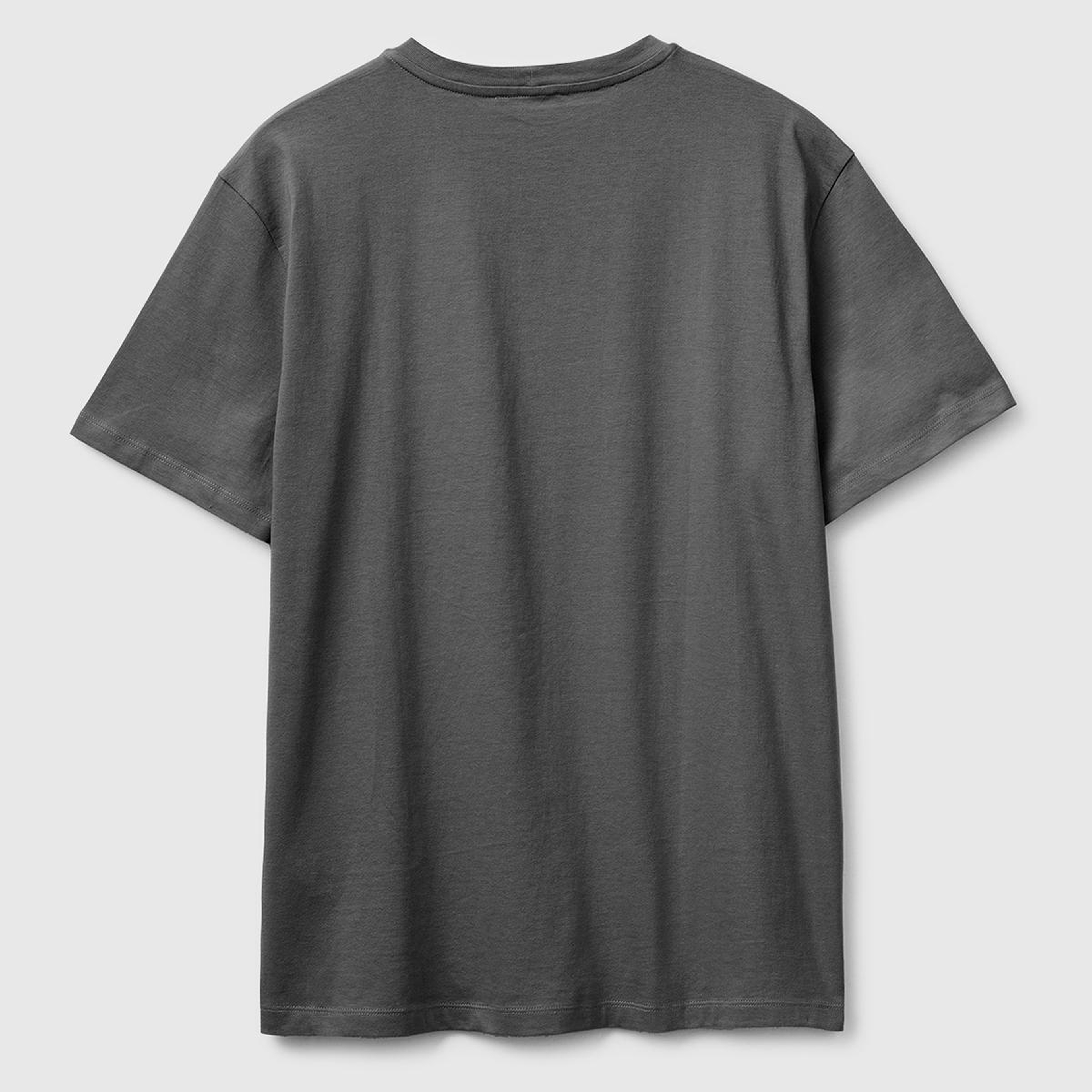 Erkek Antrasit  %100 Pamuk Logo Baskılı Regular Fit Bisiklet Yaka T-Shirt