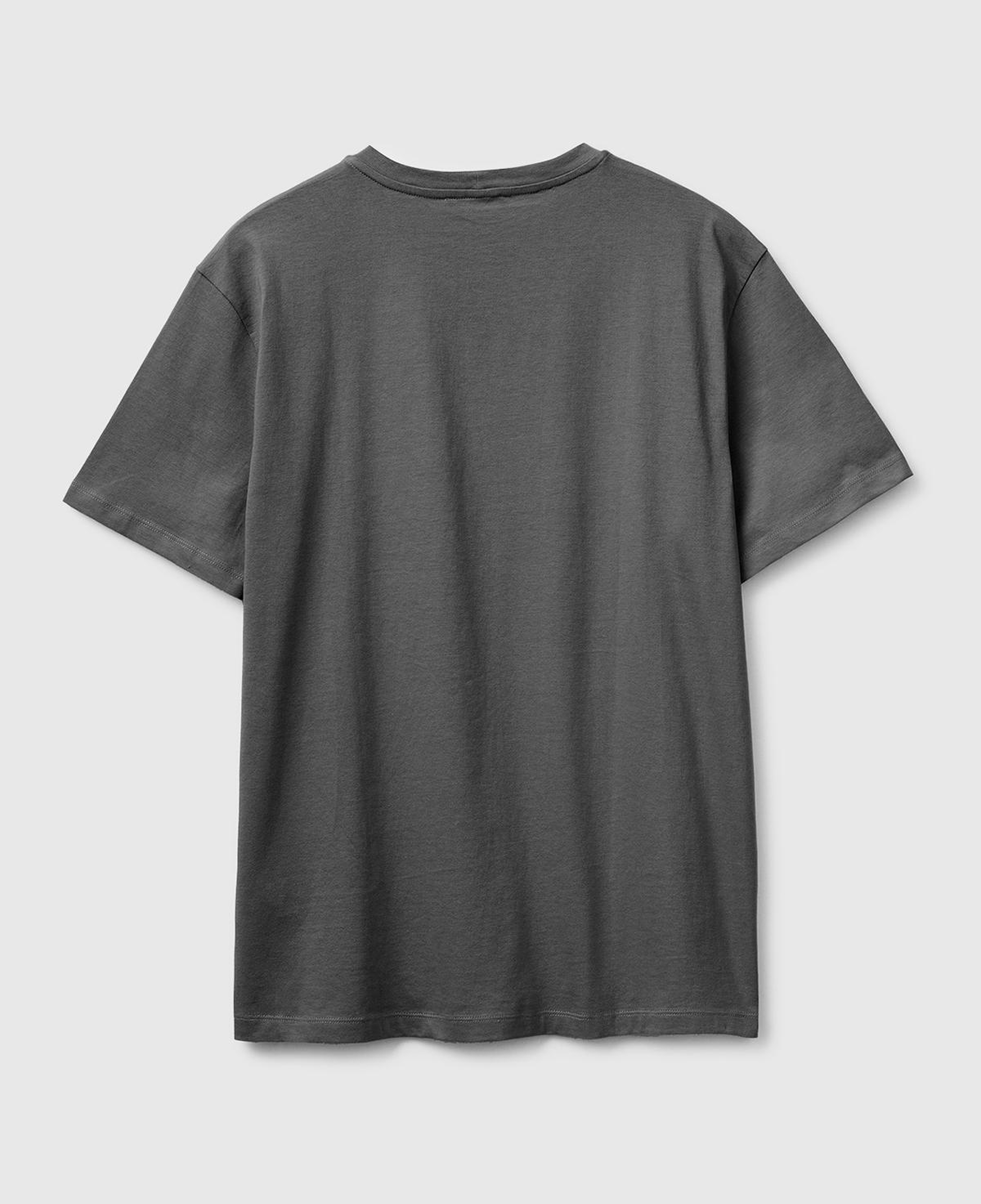 Erkek Antrasit %100 Pamuk Logo Baskılı Regular Fit Bisiklet Yaka T-Shirt