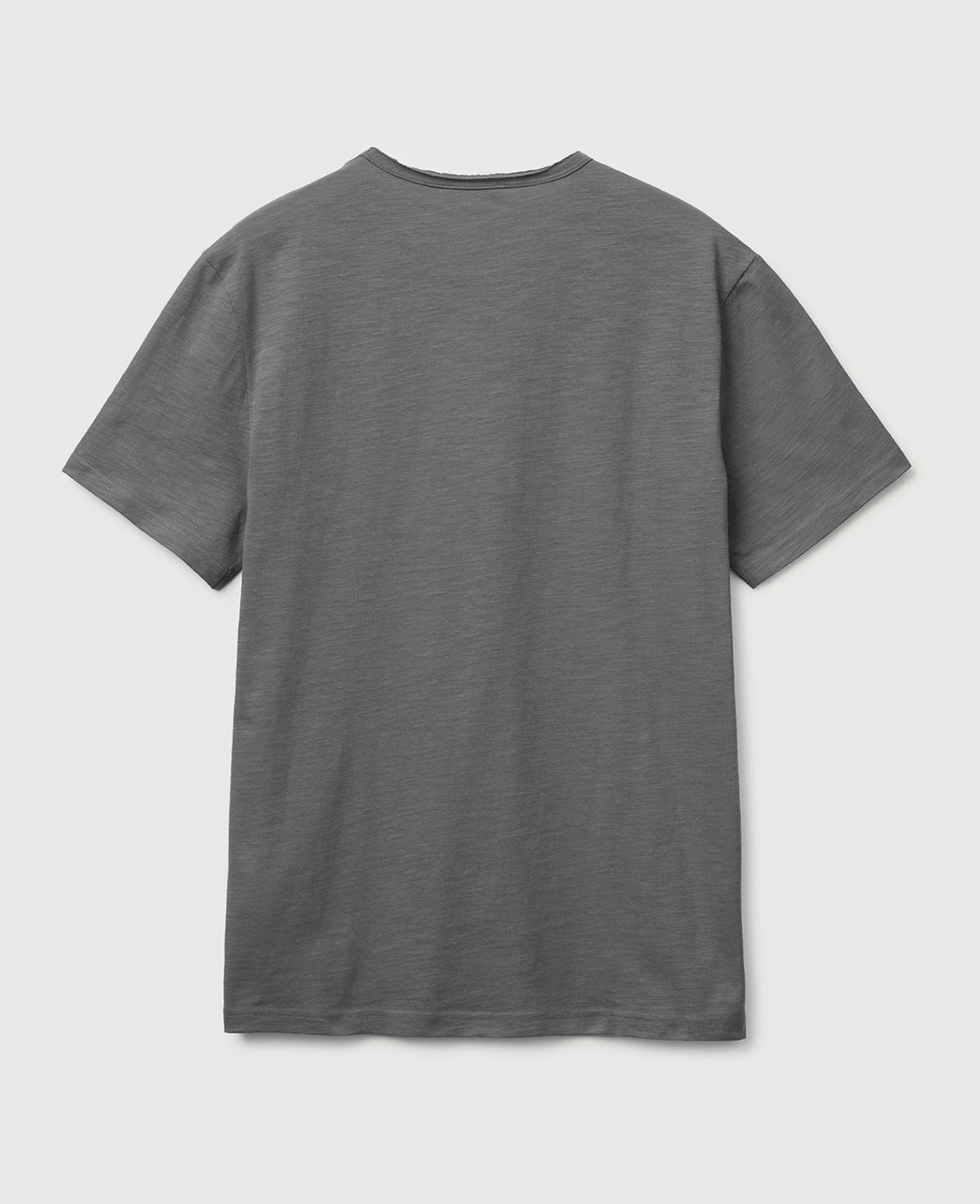 Erkek Antrasit  %100 Pamuk Regular Fit Bisiklet Yaka T-Shirt