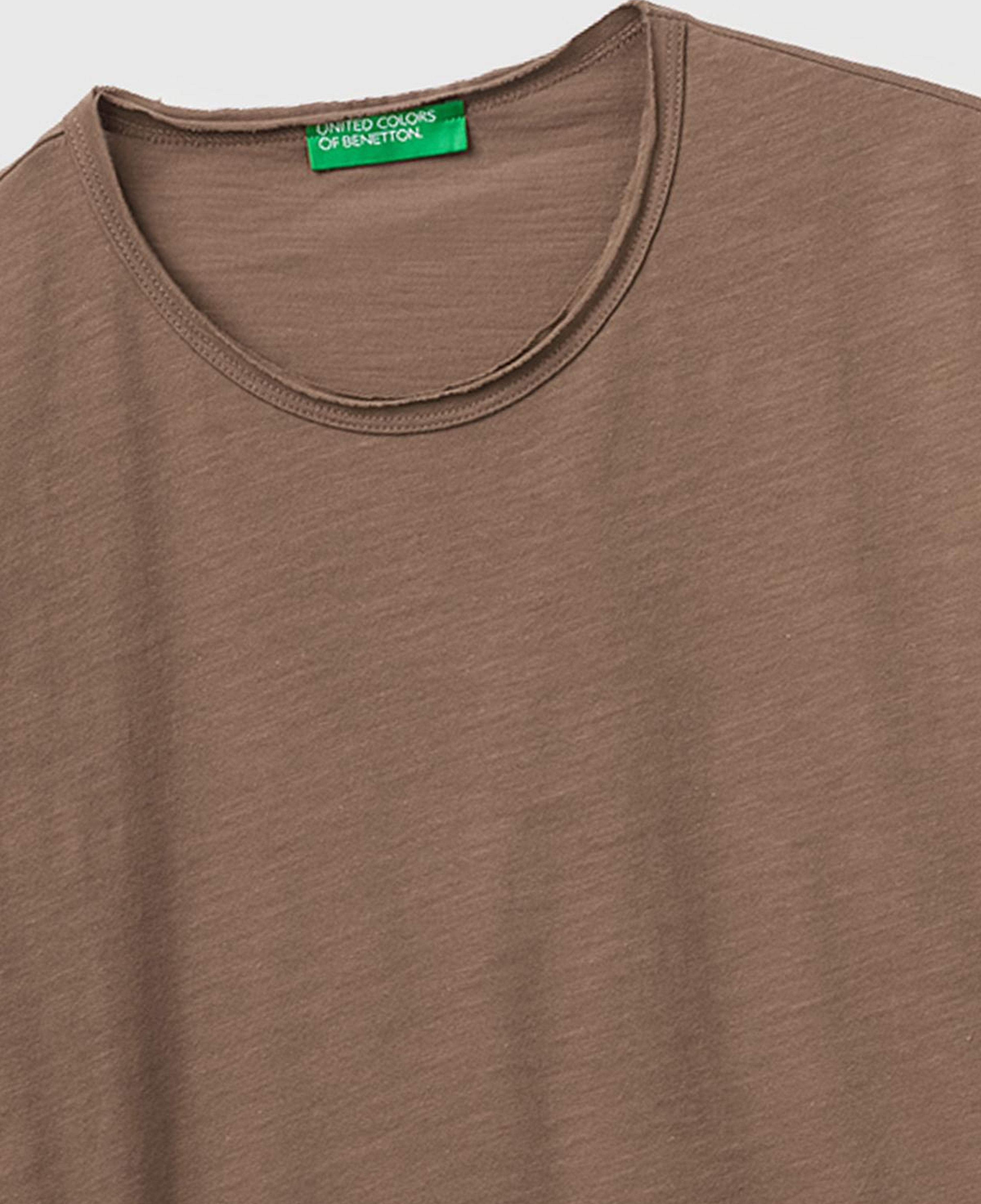 Erkek Kahverengi  %100 Pamuk Regular Fit Bisiklet Yaka T-Shirt