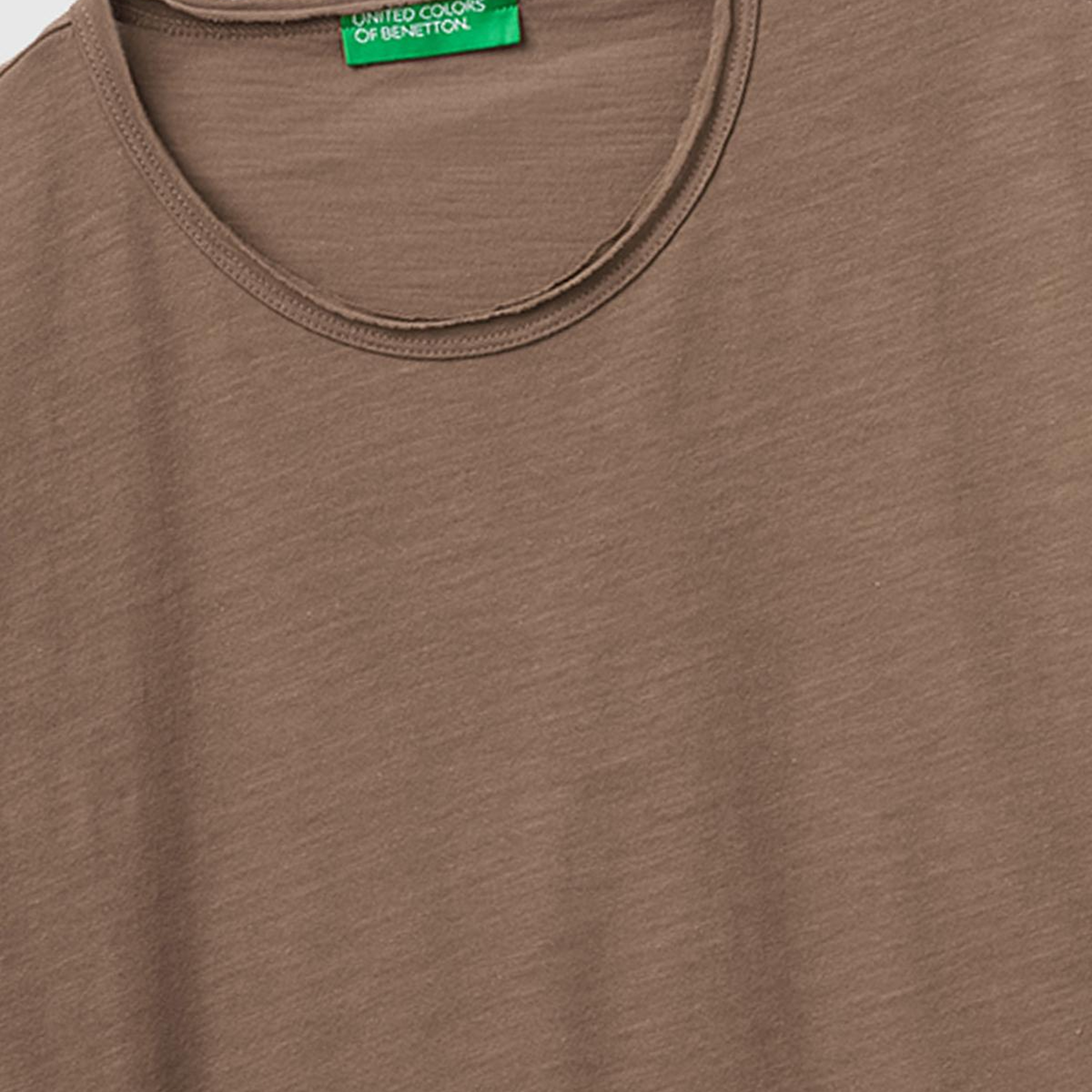 Erkek Kahverengi  %100 Pamuk Regular Fit Bisiklet Yaka T-Shirt