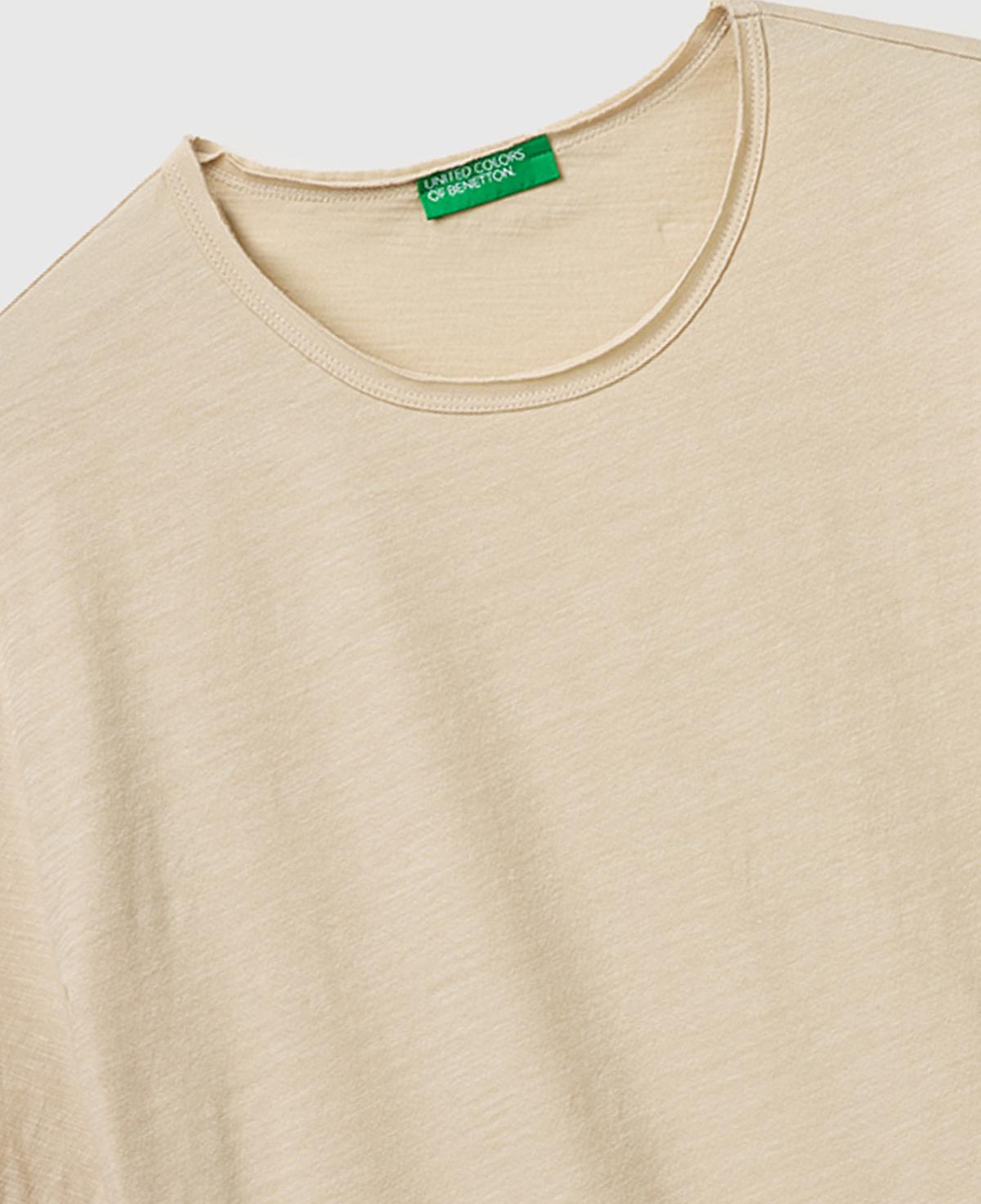 Erkek Taş  %100 Pamuk Regular Fit Bisiklet Yaka T-Shirt