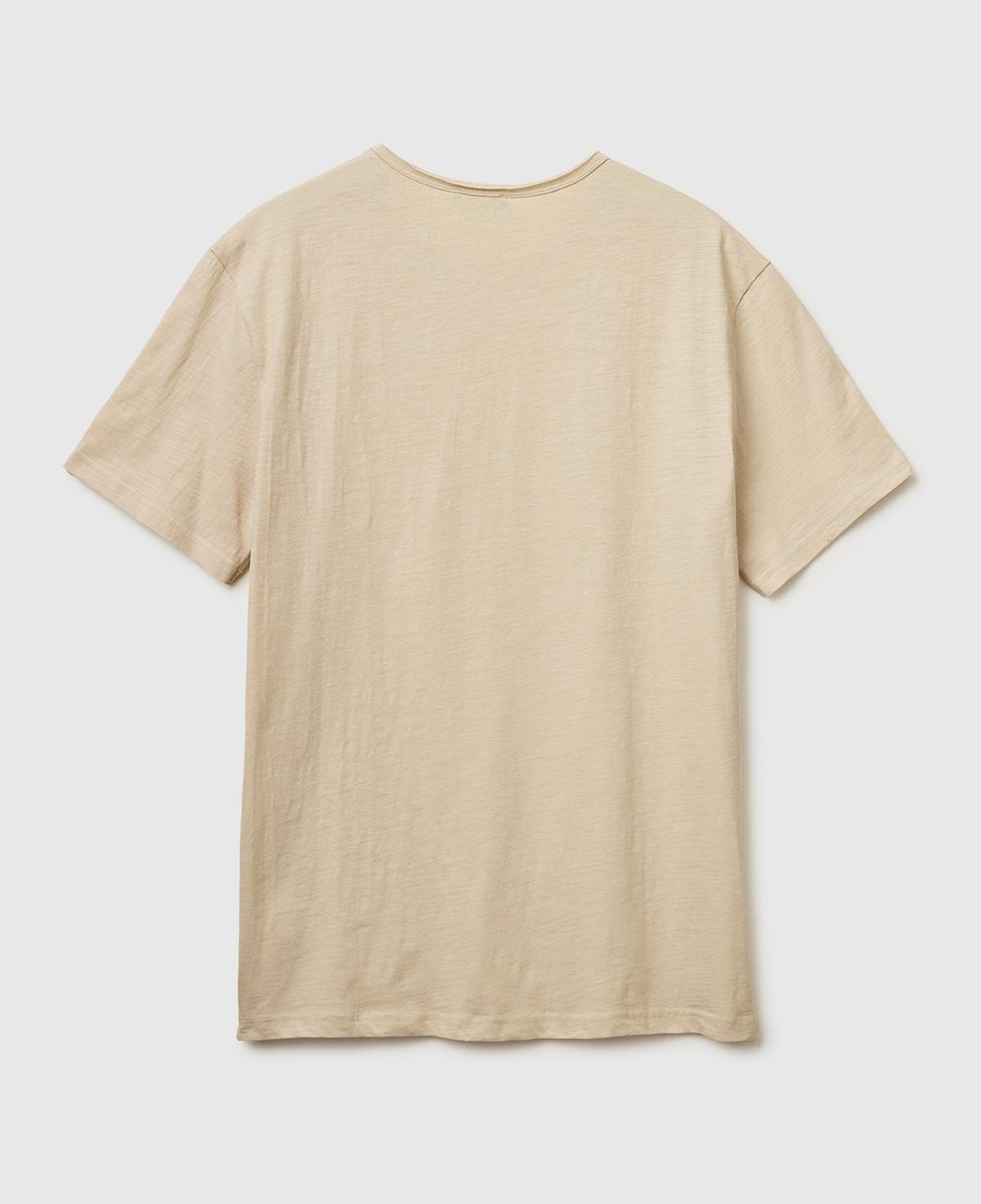 Erkek Taş  %100 Pamuk Regular Fit Bisiklet Yaka T-Shirt