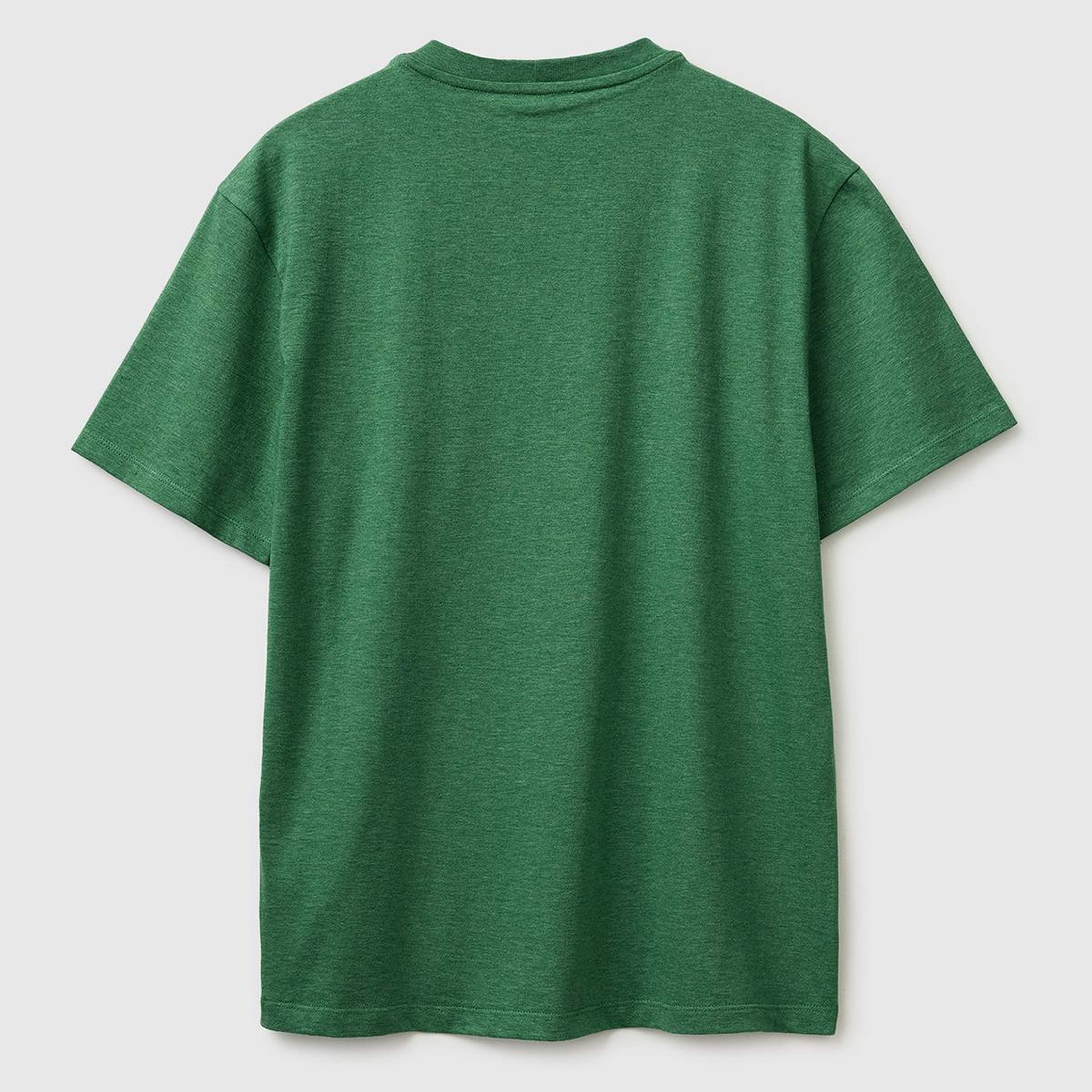 Erkek Yeşil  %100 Pamuk Regular Fit Logo  Nakışlı T-Shirt