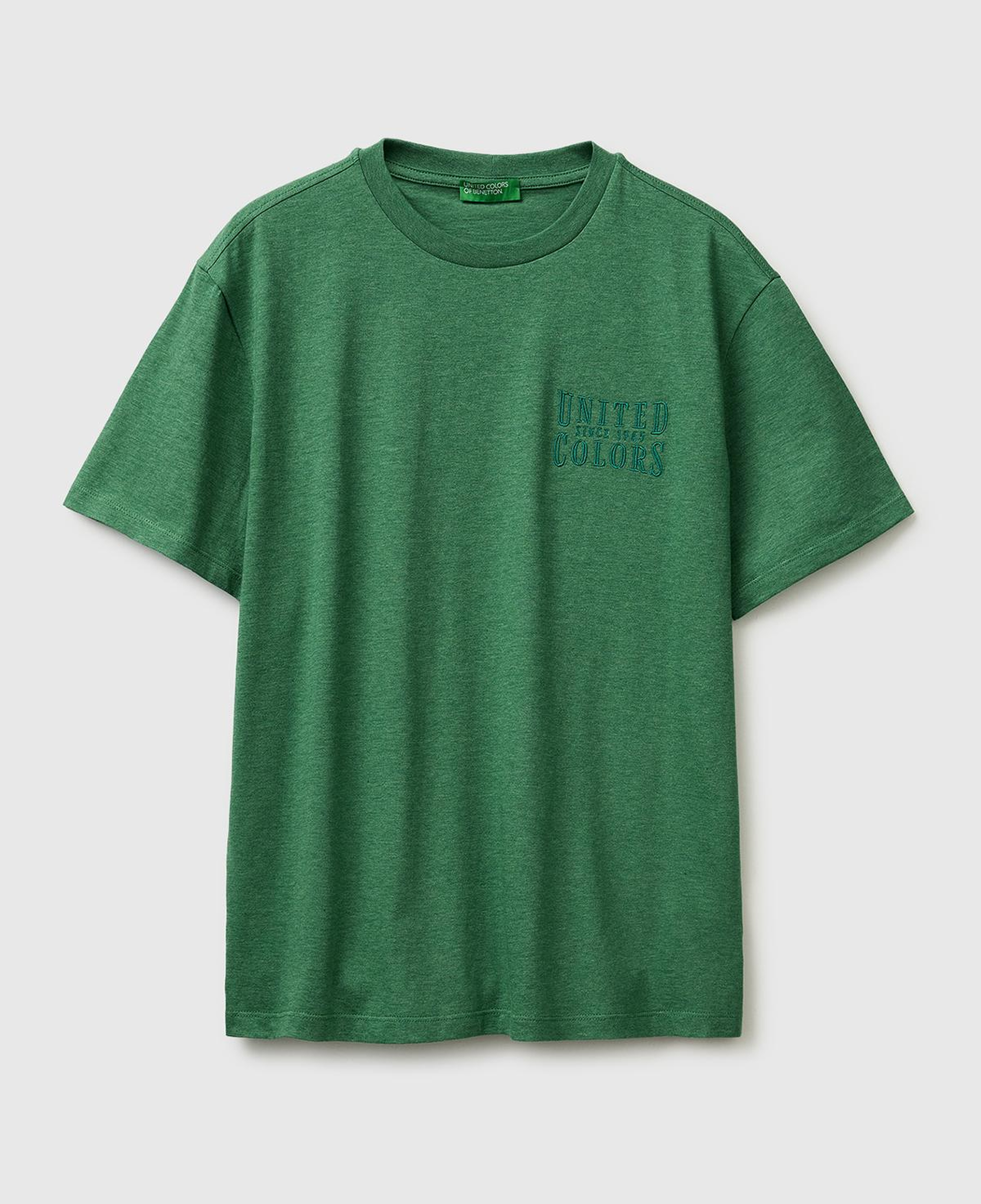 Erkek Yeşil %100 Pamuk Regular Fit Logo Nakışlı T-Shirt