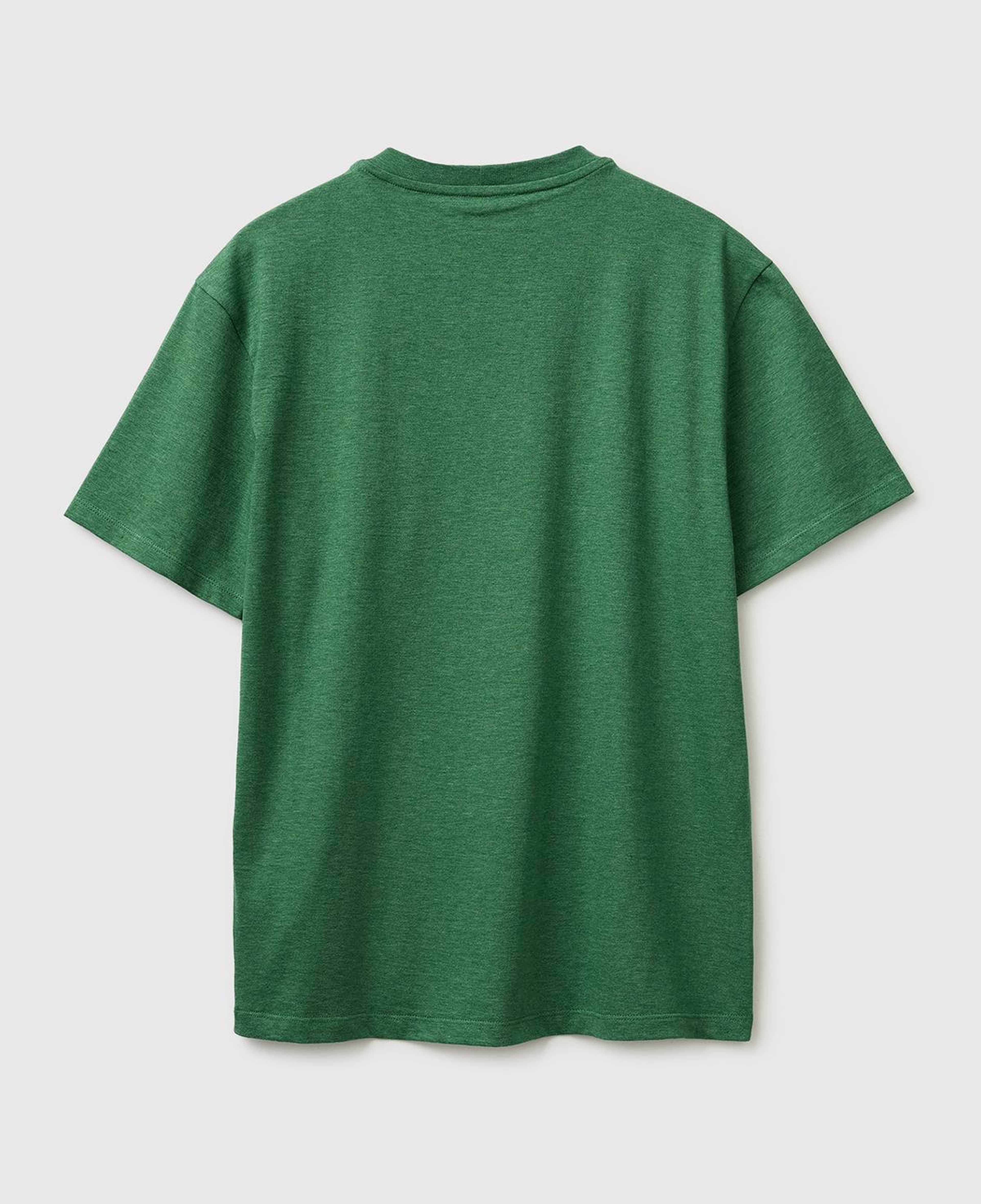 Erkek Yeşil %100 Pamuk Regular Fit Logo Nakışlı T-Shirt