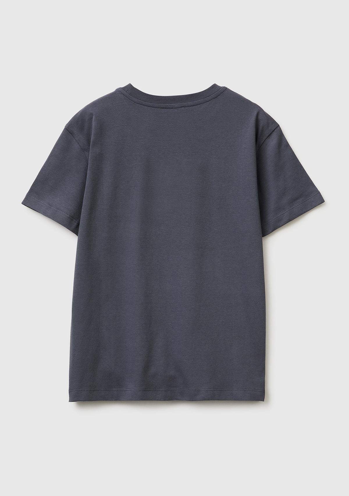 Erkek Çocuk Antrasit Önü Logo Baskılı Bisiklet Yaka T-Shirt