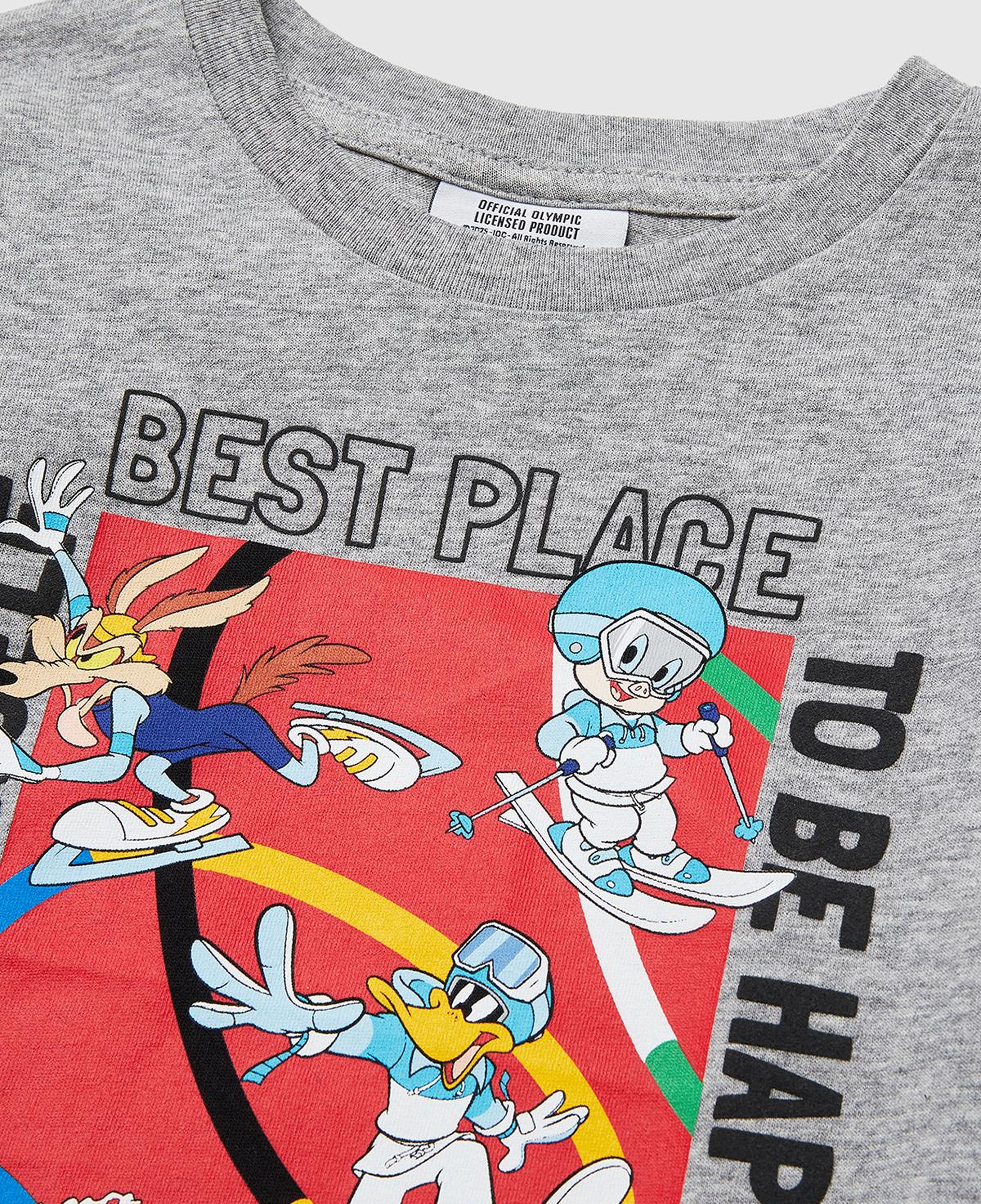 Erkek Çocuk Gri melanj Önü ve Arkası Baskı Detaylı Bisiklet Yaka Uzun Kollu T-Shirt