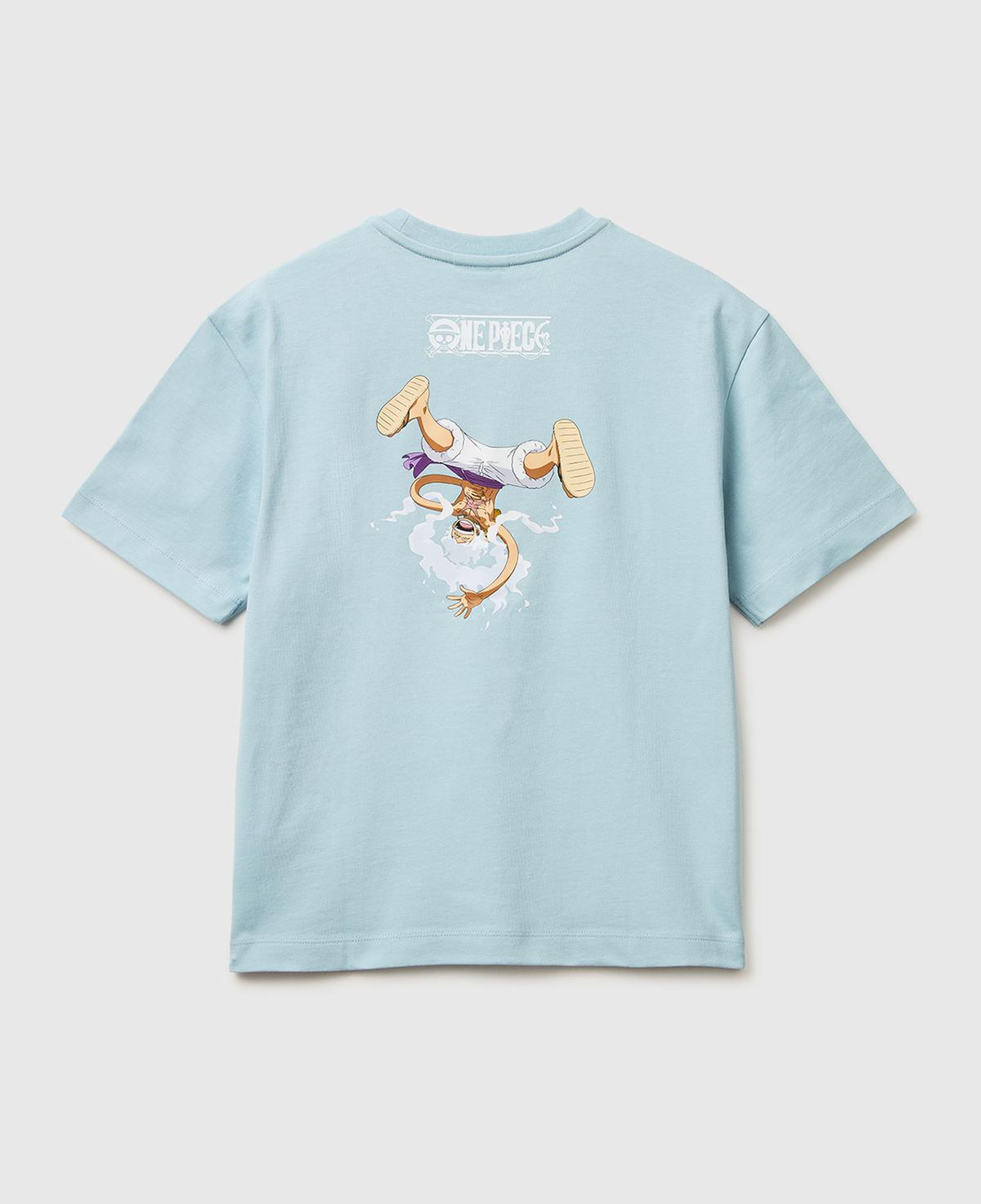 Erkek Çocuk Buz Mavisi Önü ve Arkası One Piece Baskılı Bisiklet Yaka T-Shirt
