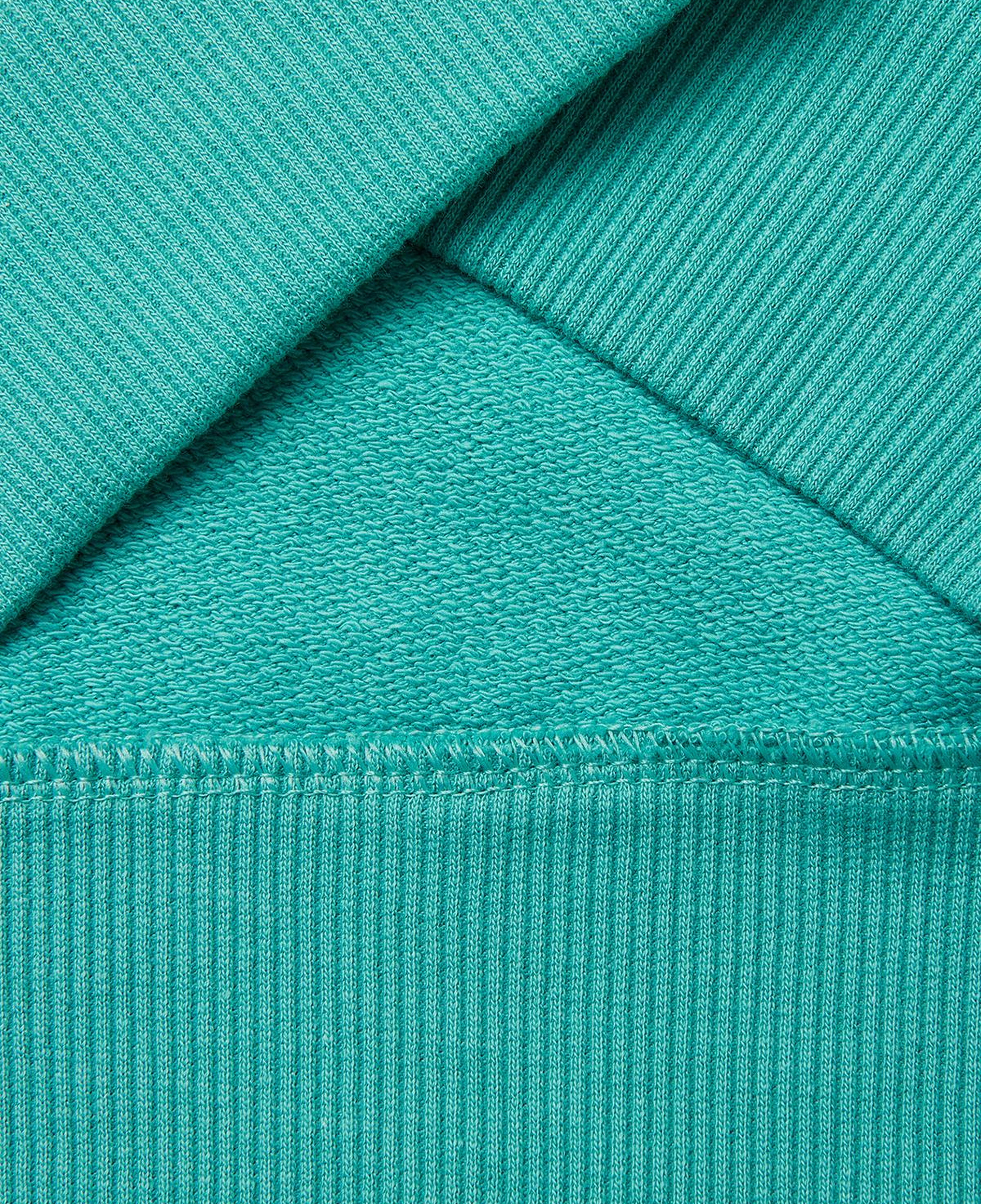 Erkek Çocuk Mavi-yeşil Arkası Baskılı Rahat Kalıp Bisiklet Yaka Sweatshirt