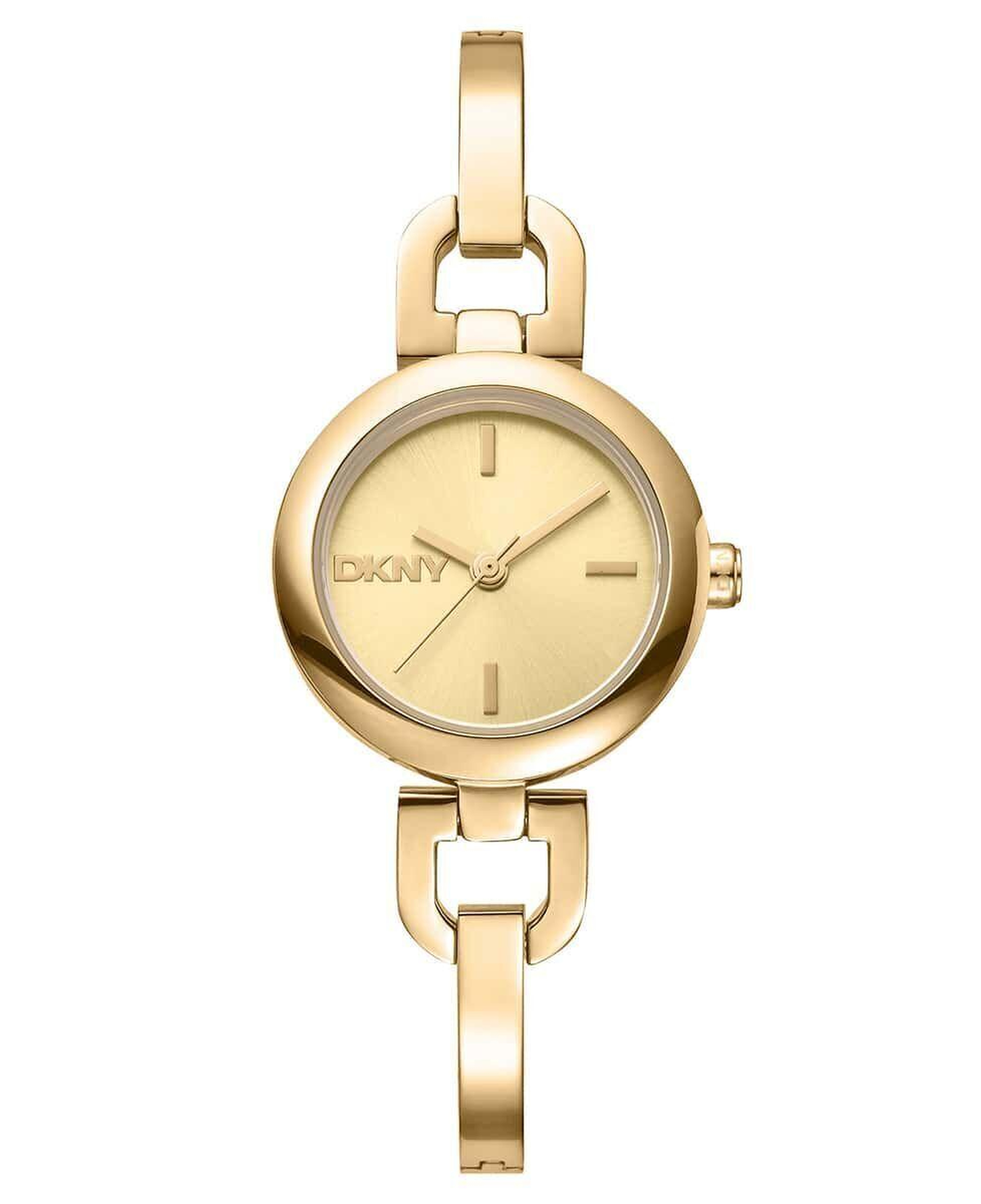 DKNY DK1L161M0045 Kadın Kol Saati