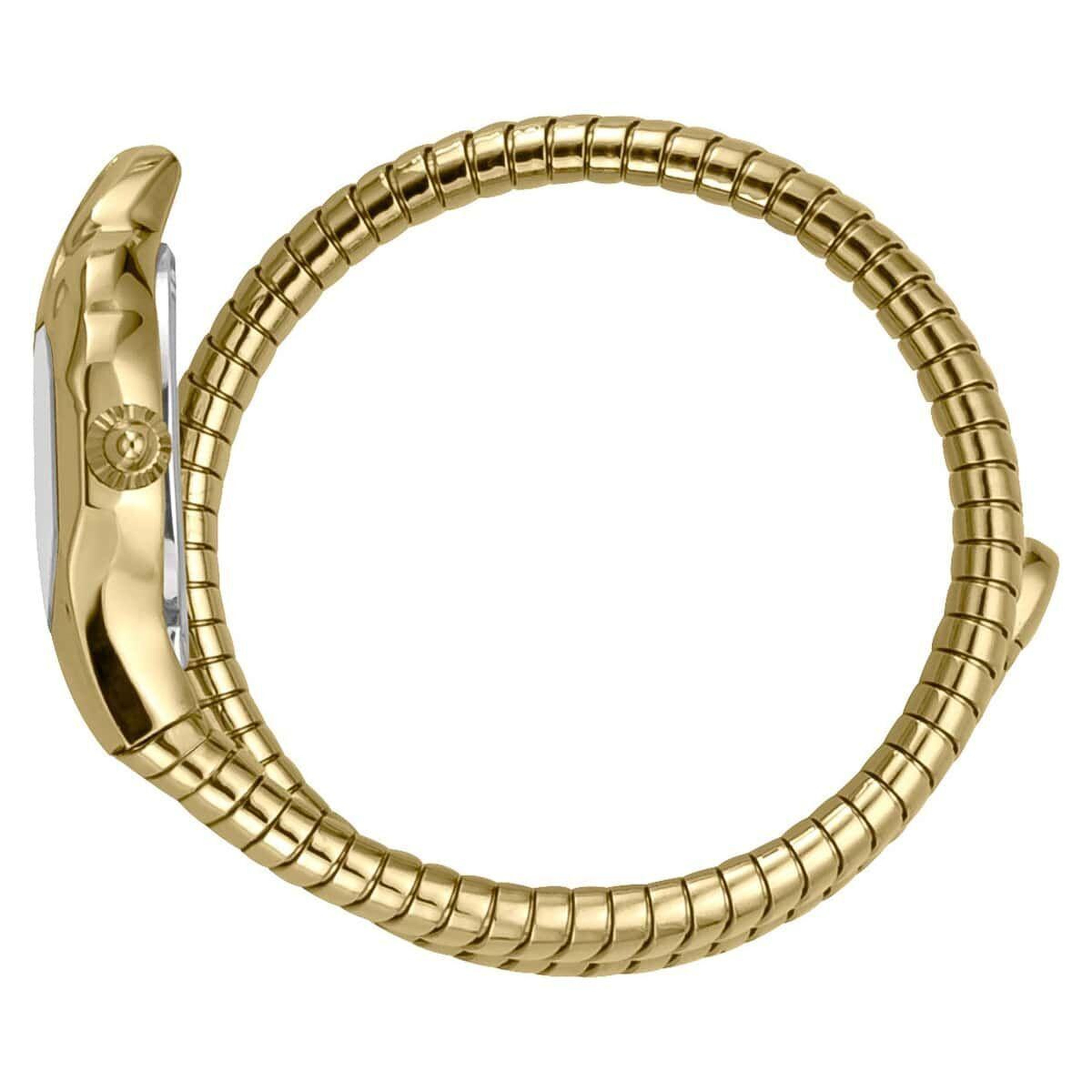 Just Cavalli JC1L001M0025 Kadın Kol Saati