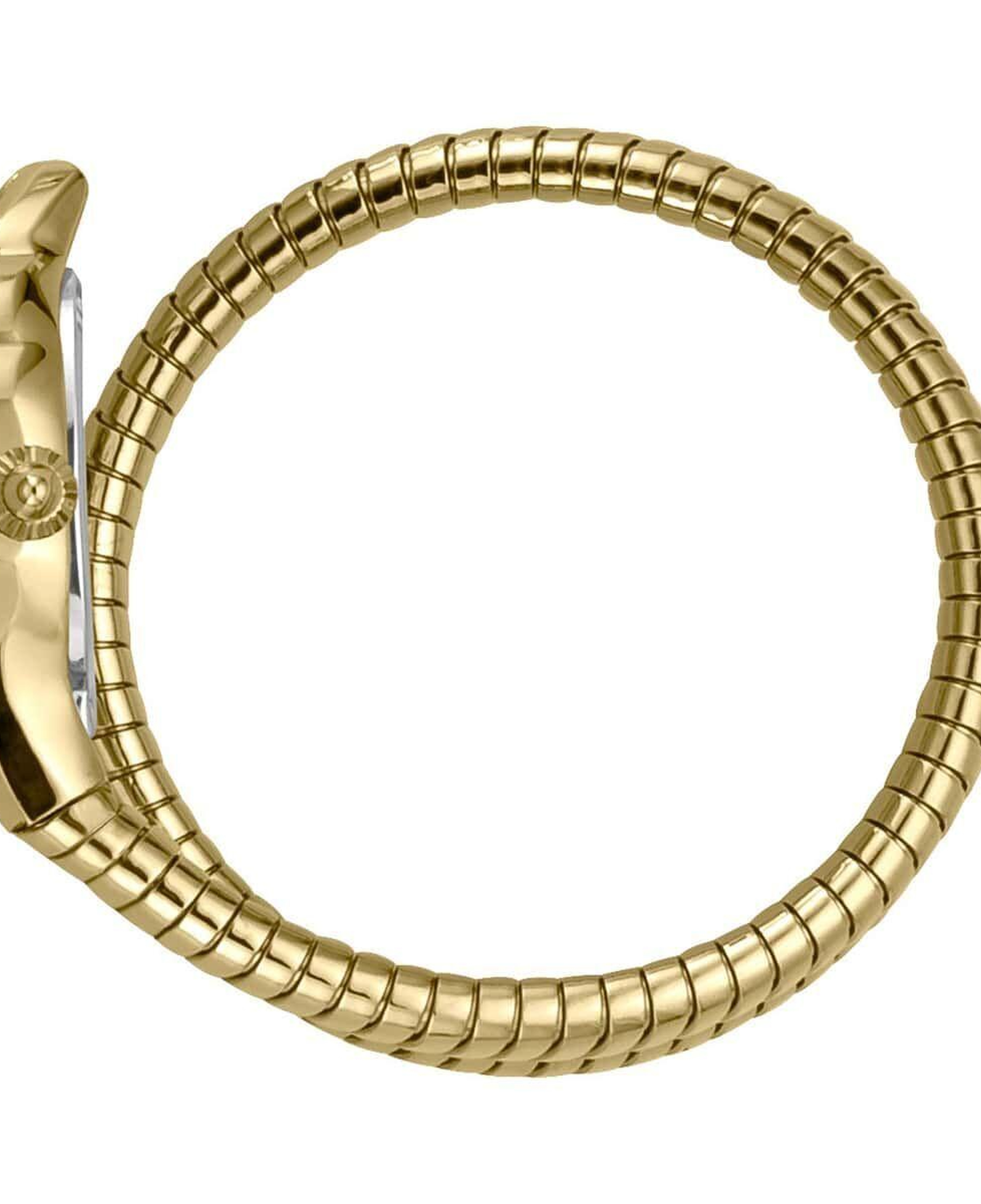 Just Cavalli JC1L001M0025 Kadın Kol Saati