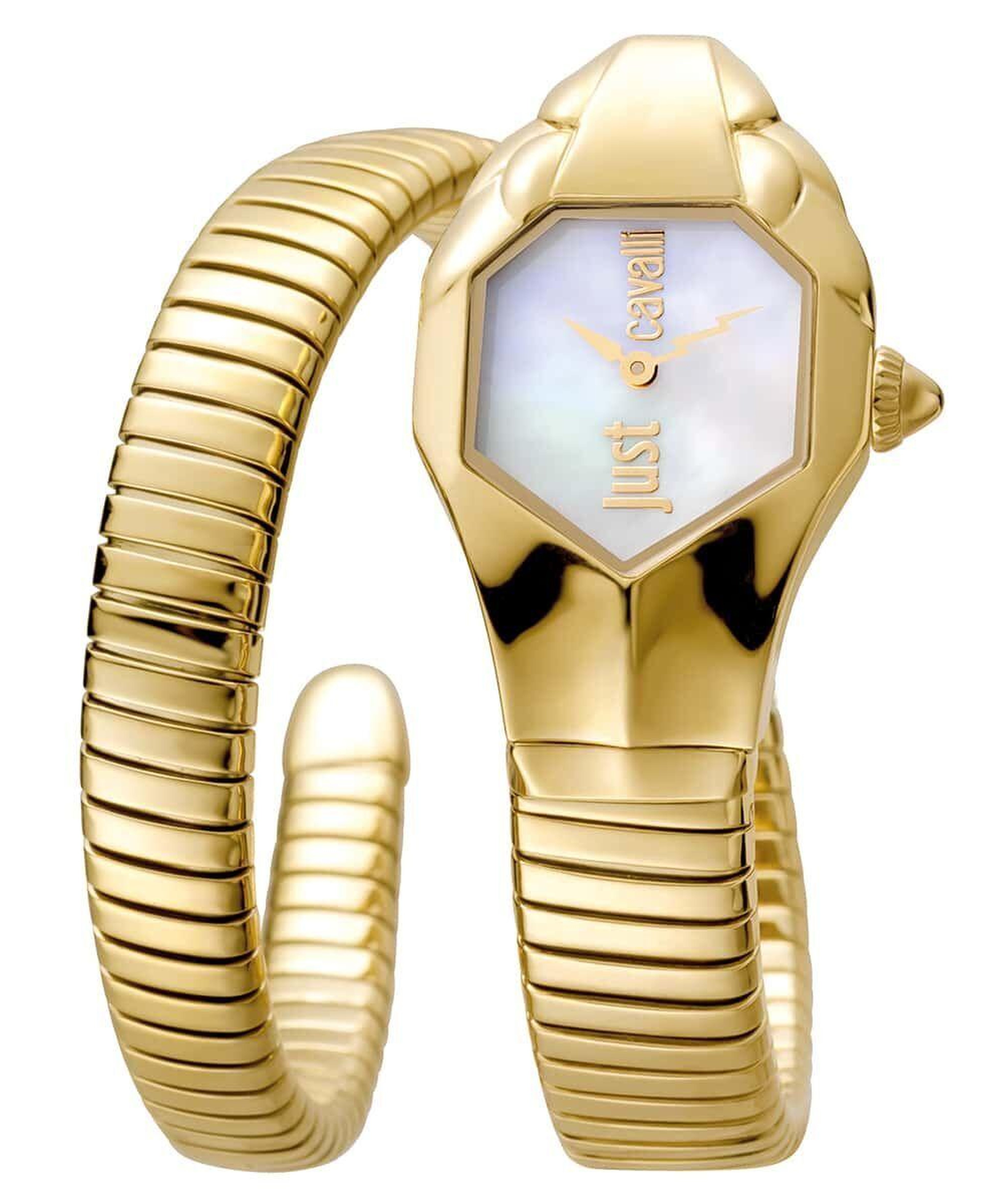 Just Cavalli JC1L001M0025 Kadın Kol Saati