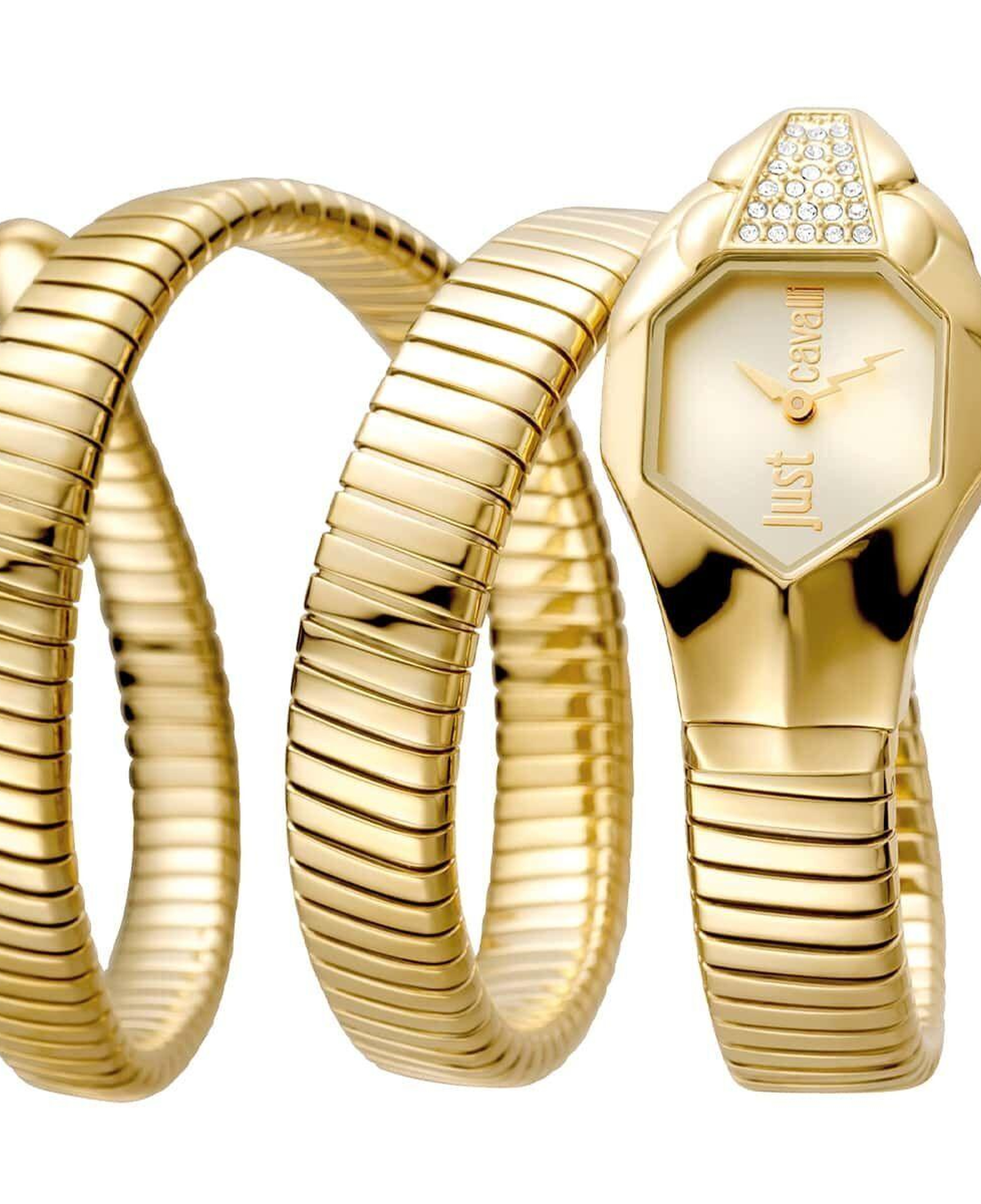 Just Cavalli JC1L022M0025 Kadın Kol Saati