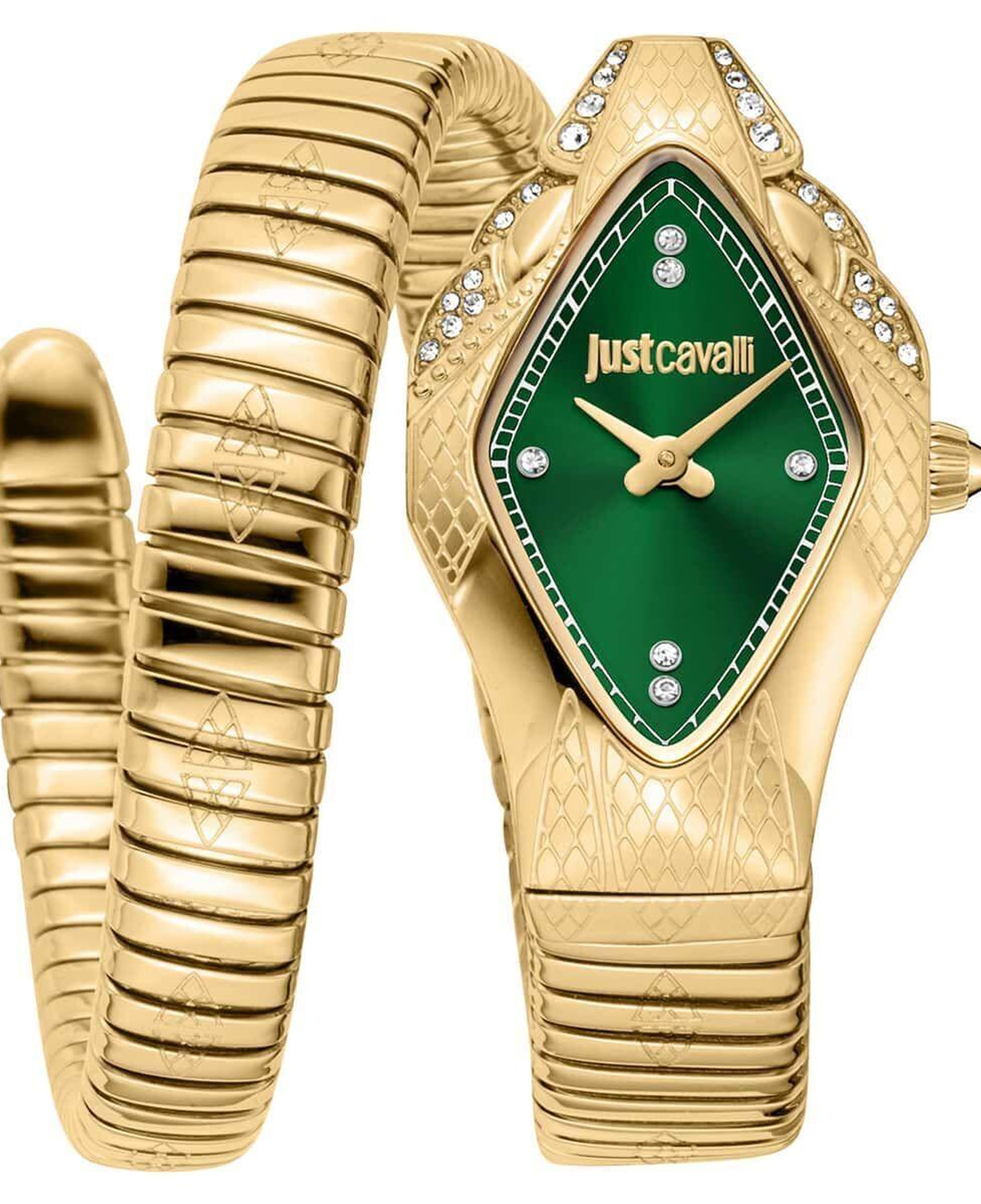 Just Cavalli JC1L306M0045 Kadın Kol Saati