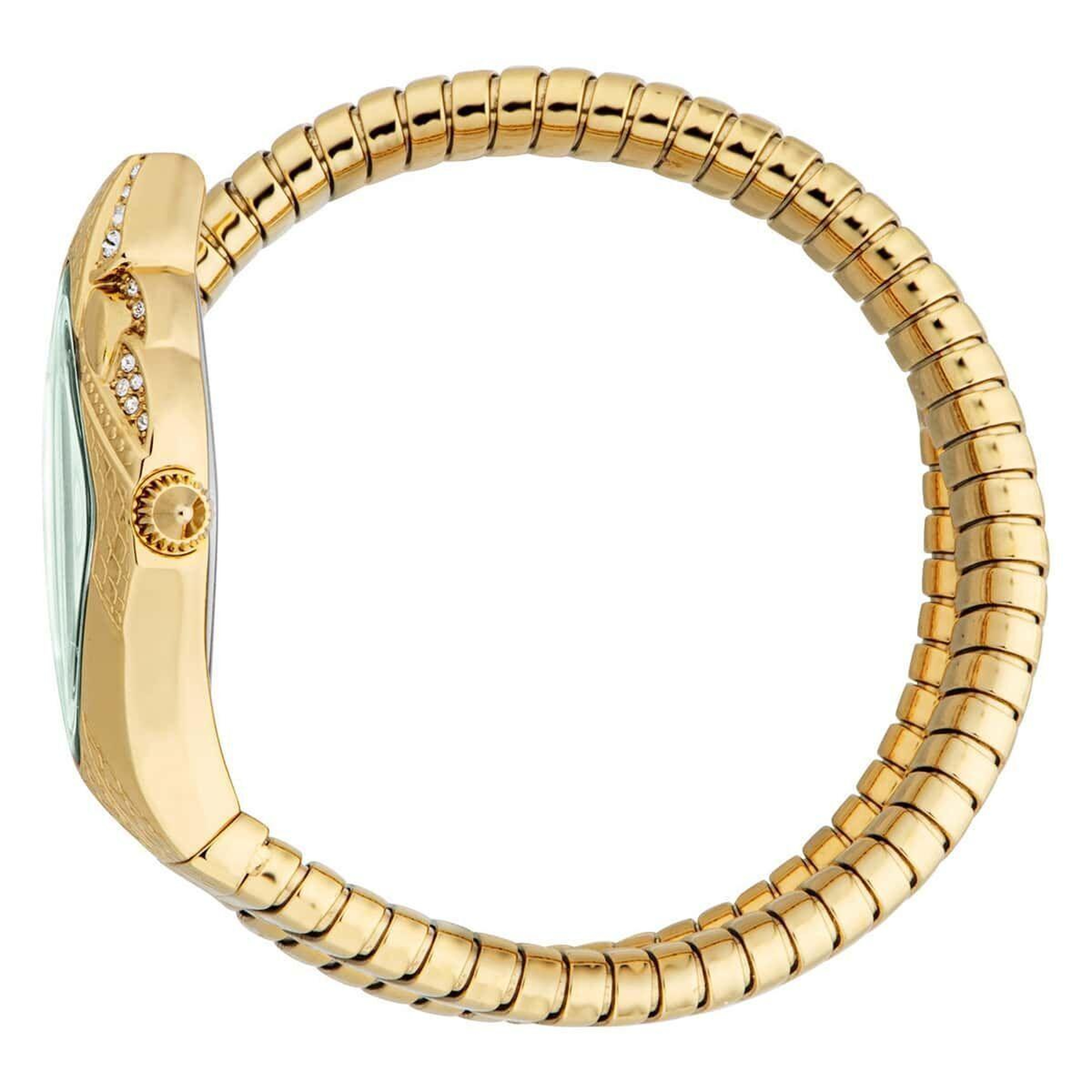 Just Cavalli JC1L306M0045 Kadın Kol Saati